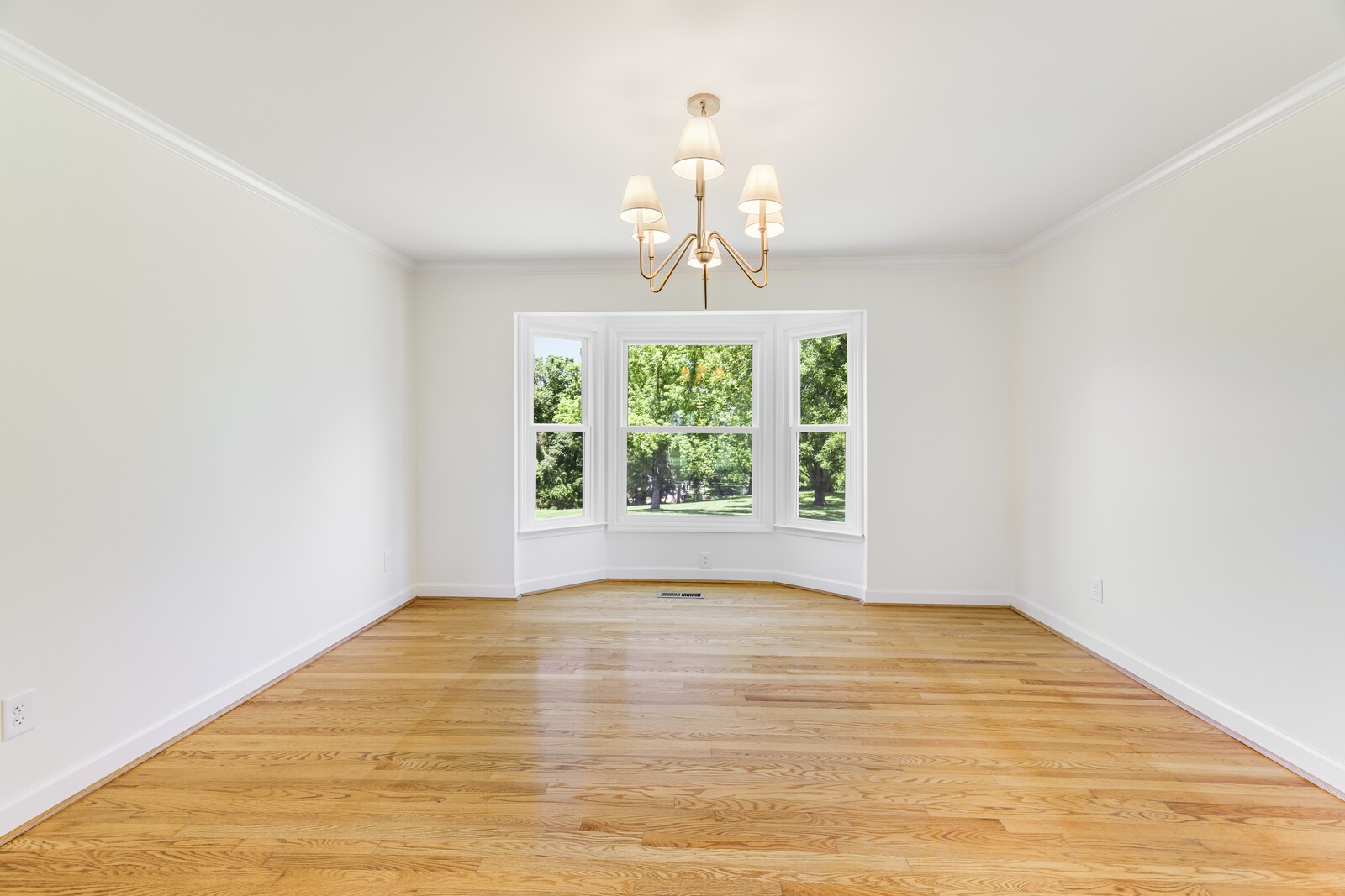 1208 Newmans Trl