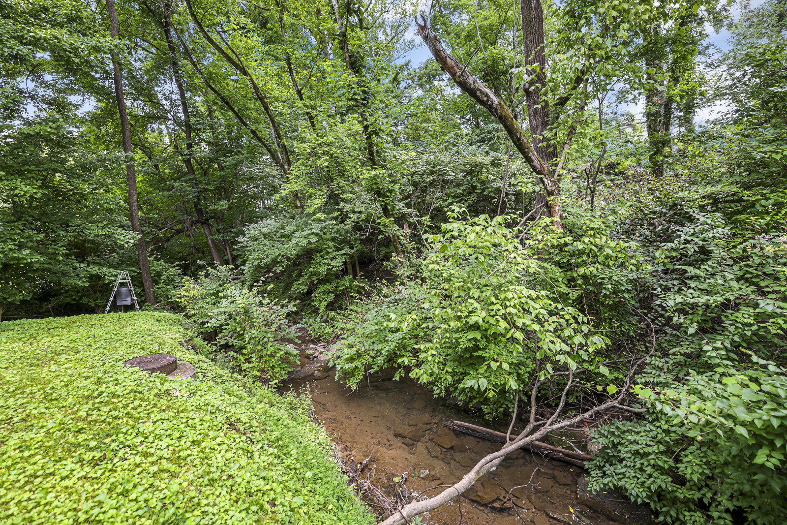 143 Old Tusculum Rd