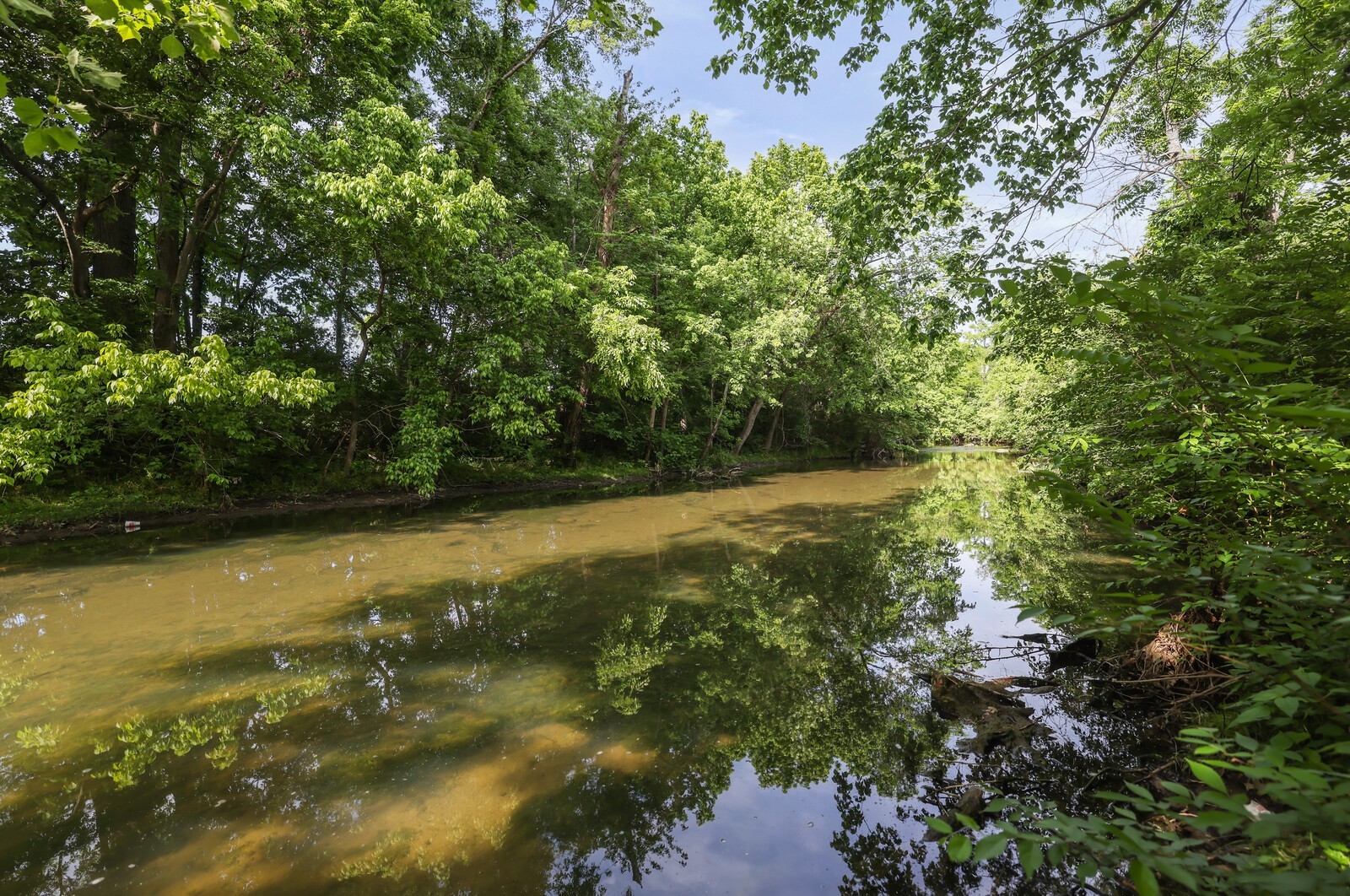 132 Rosebush Ln