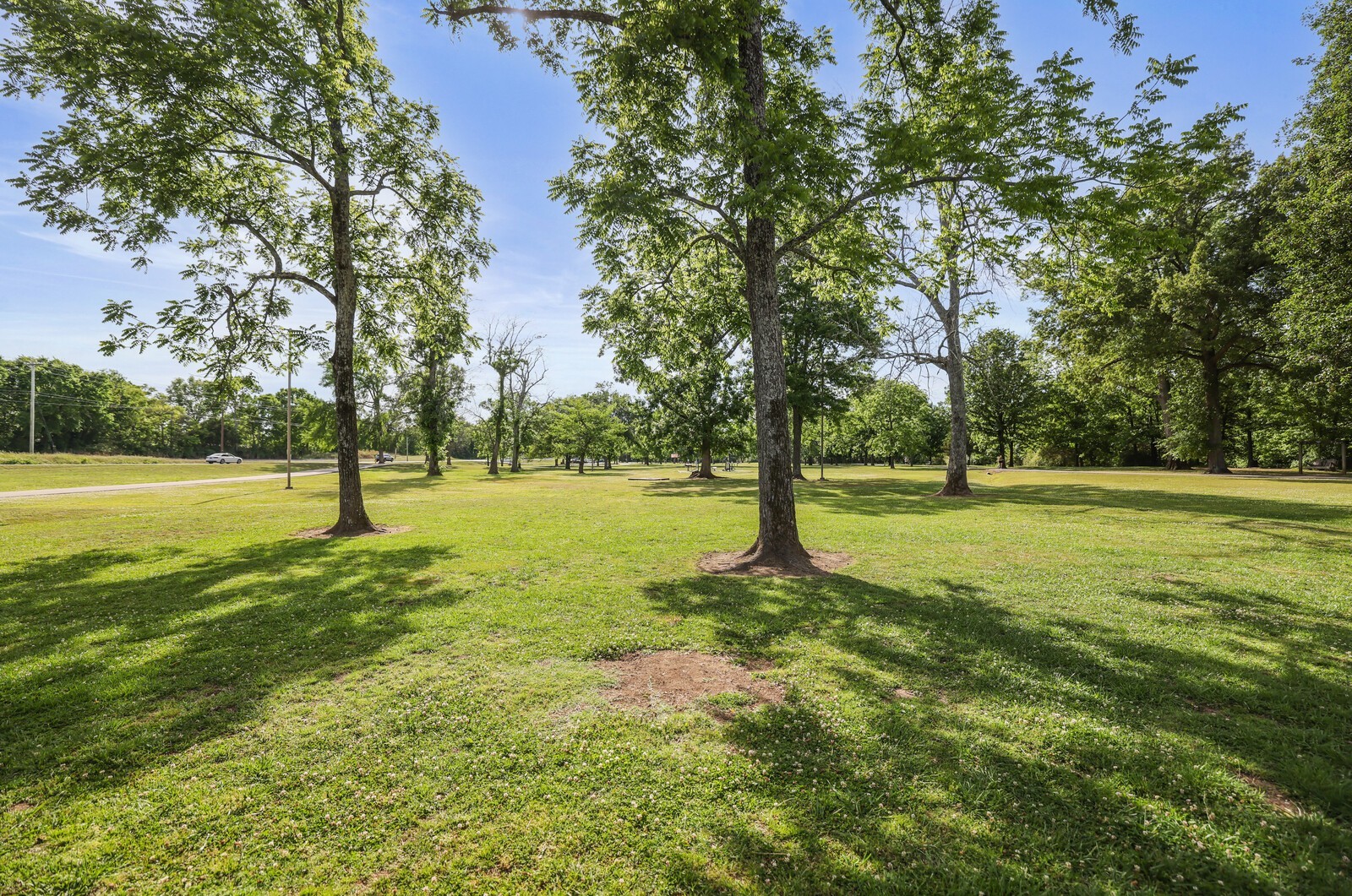132 Rosebush Ln