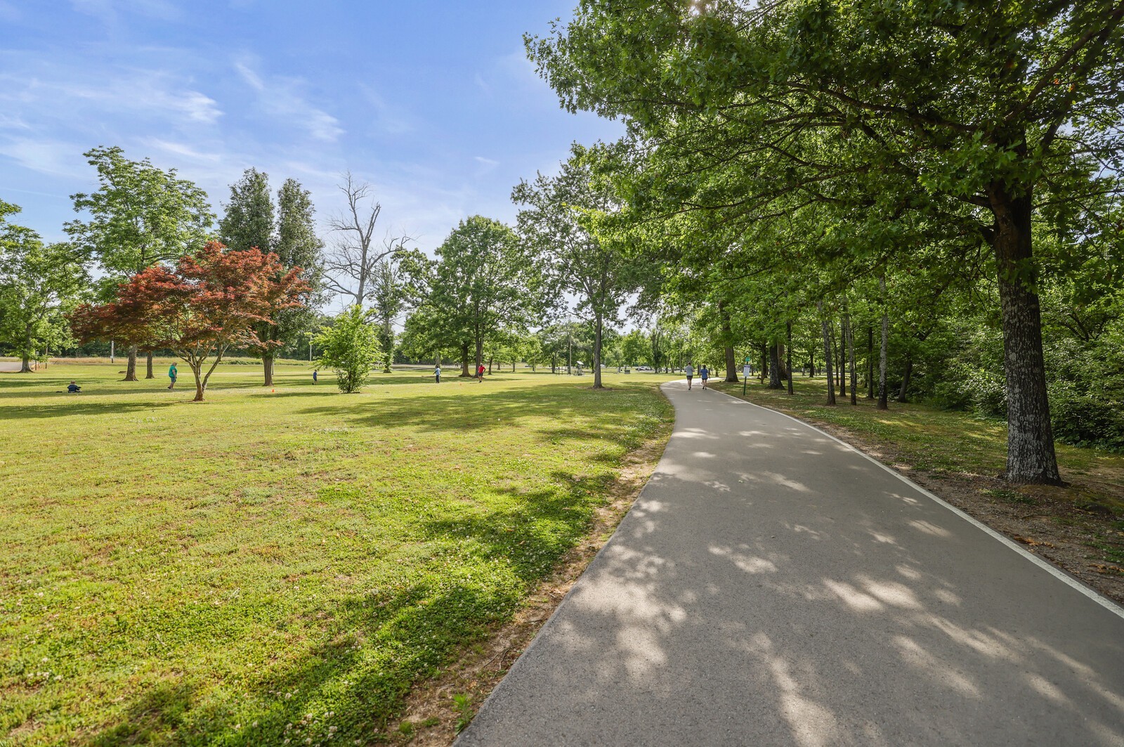 132 Rosebush Ln