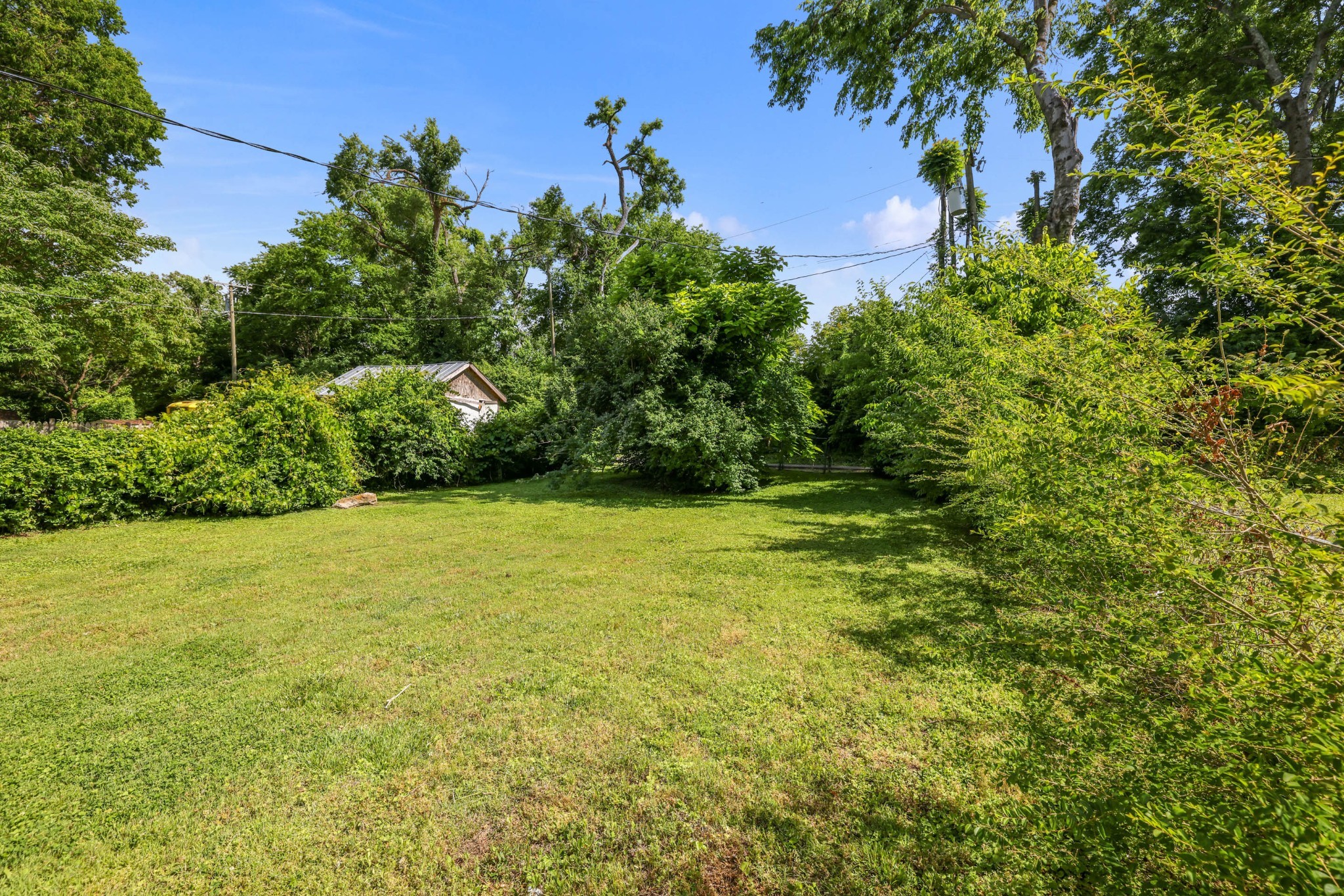 319 Rose St
