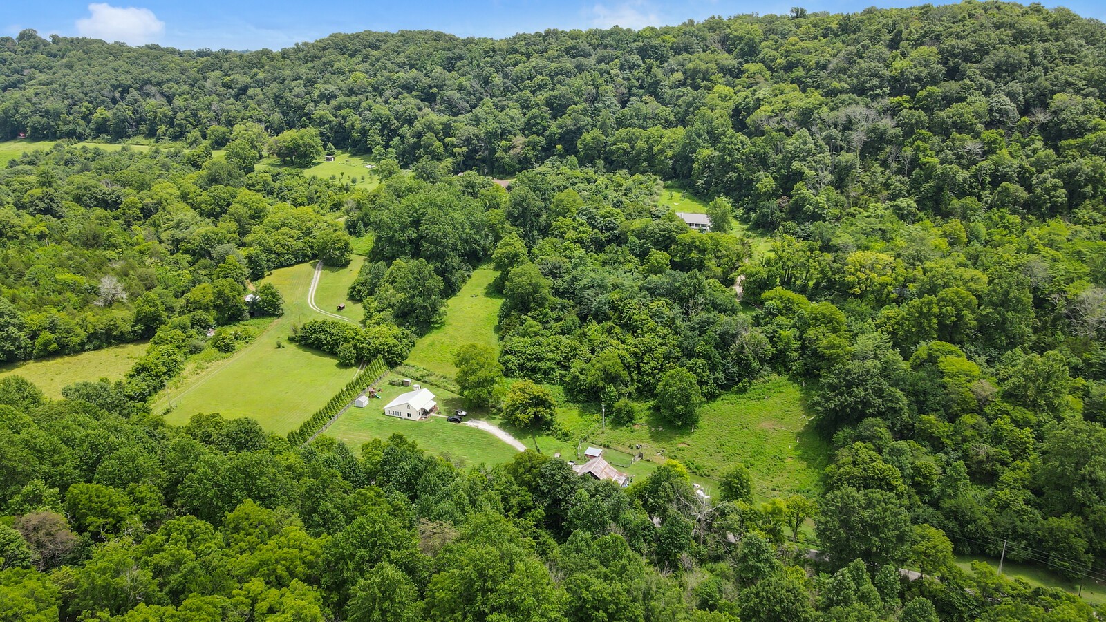 1720 Dog Branch Rd