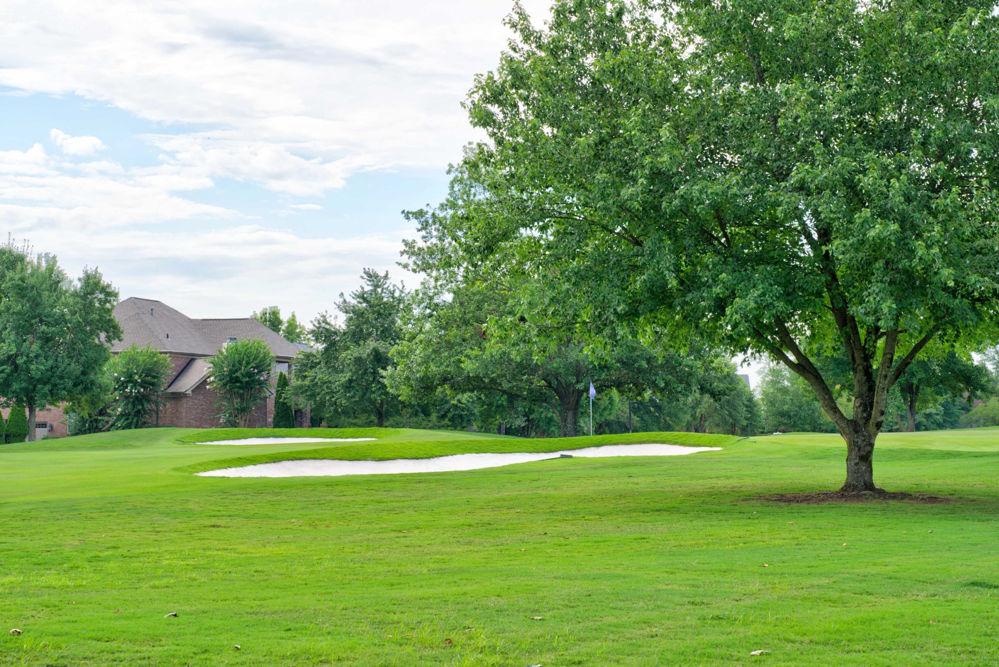 915 John Armfield Ct