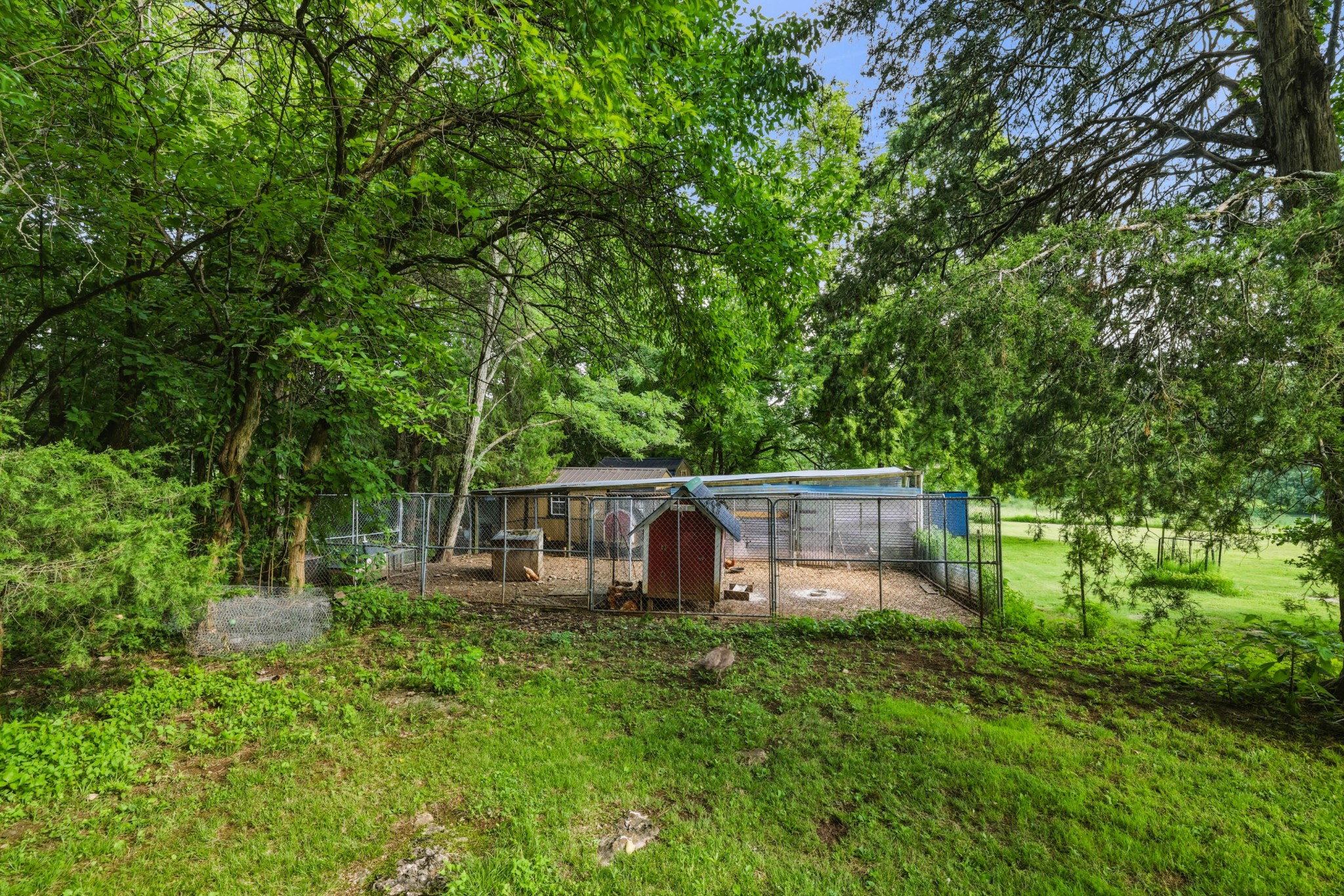2770 Beech Log Rd