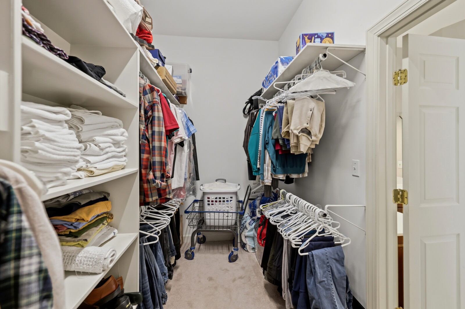 1005 Alcove Ct