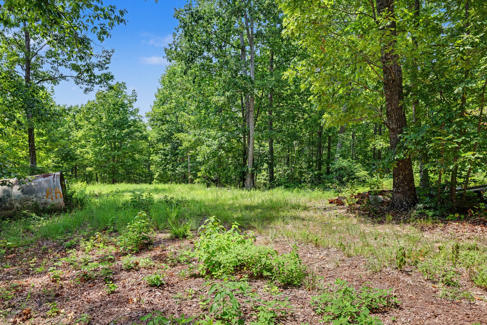 4425 Little Marrowbone Rd
