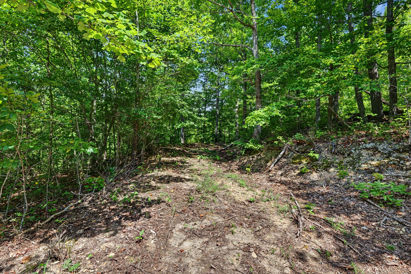 4425 Little Marrowbone Rd