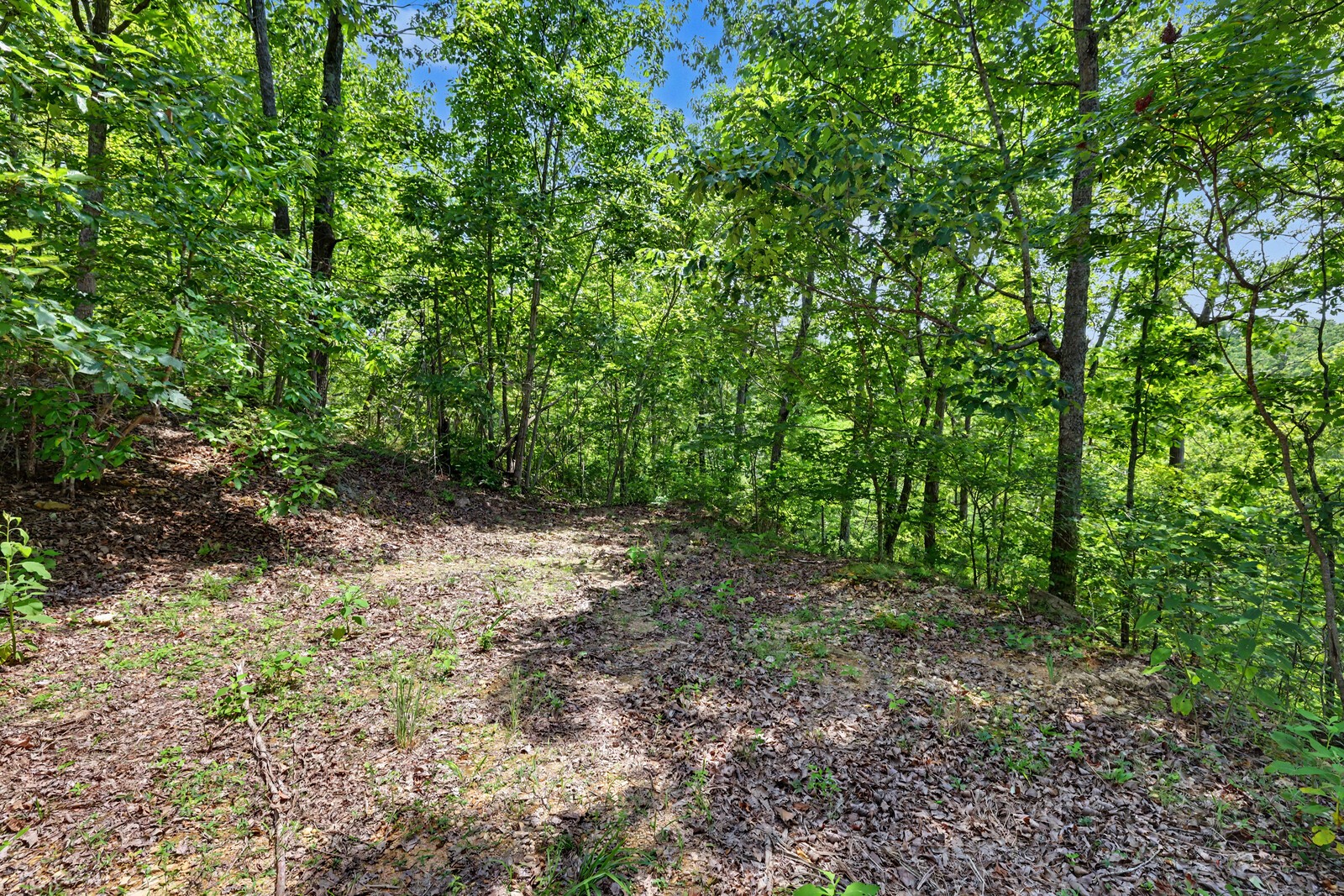 4425 Little Marrowbone Rd