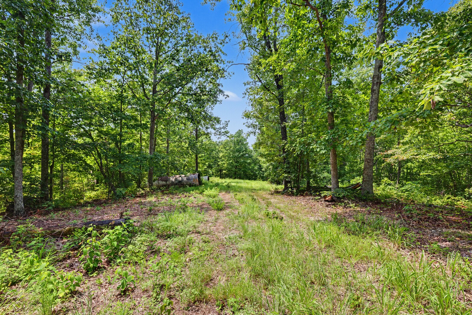 4425 Little Marrowbone Rd