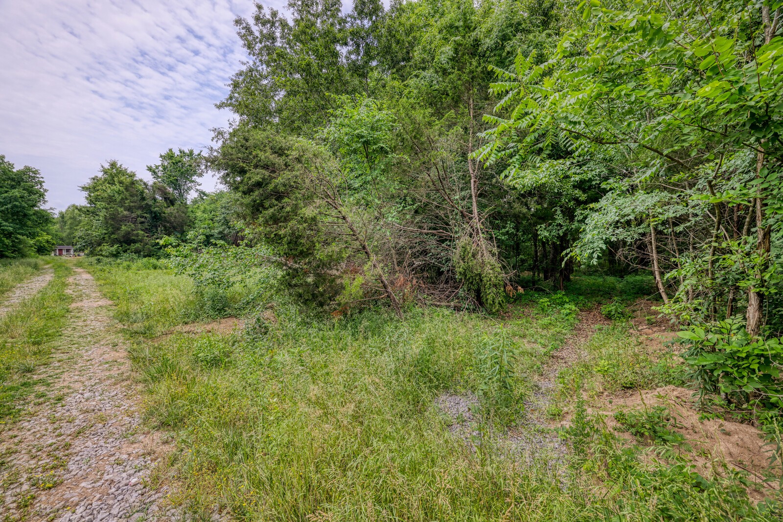 1901 Central Valley Rd