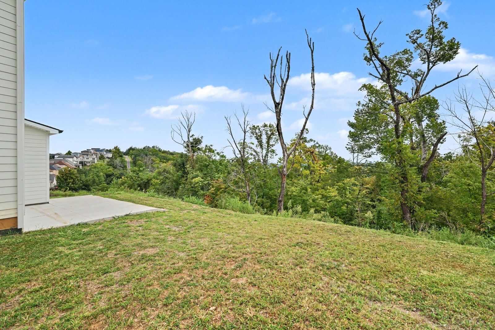 209 Walnutwood Lane