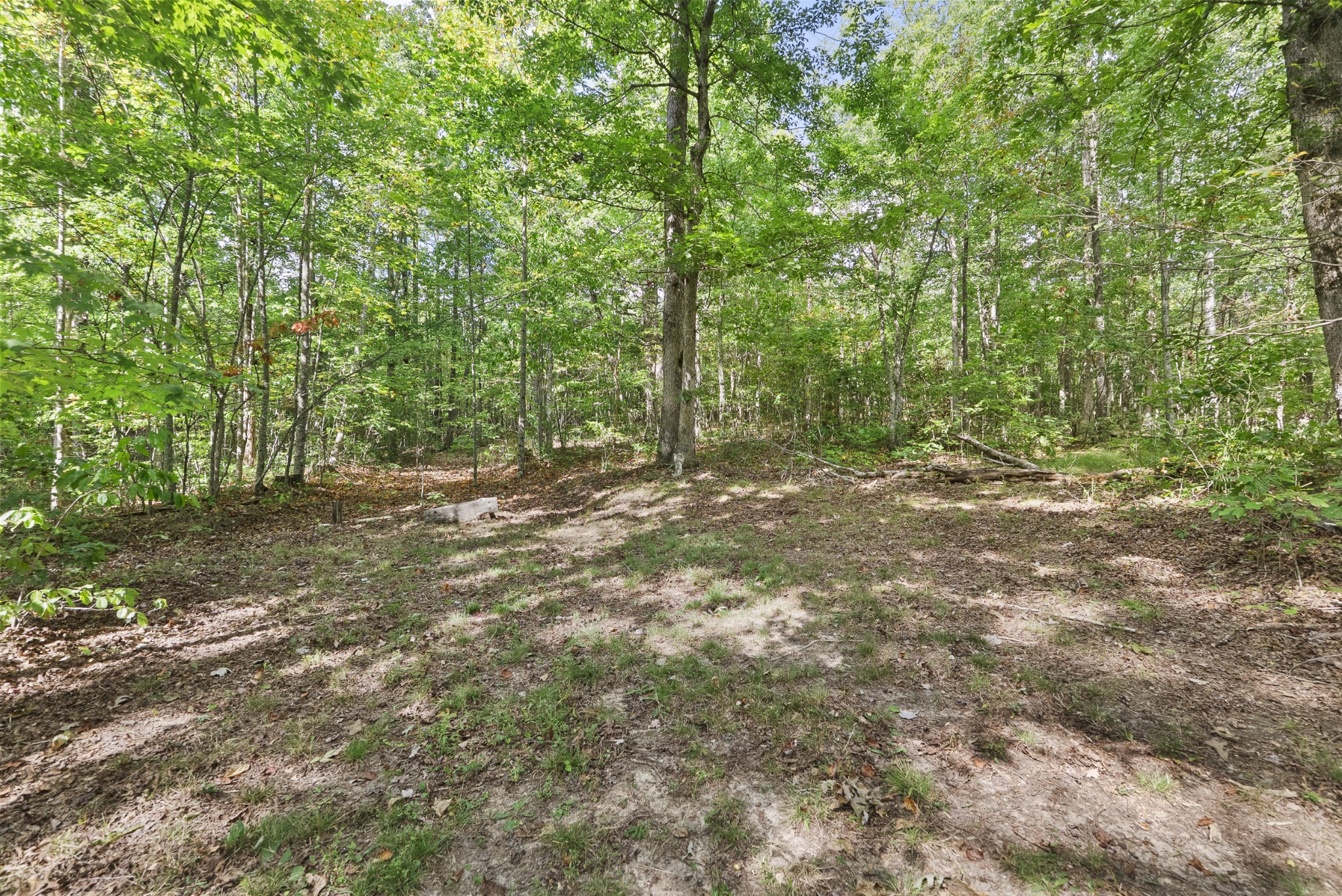625 Meadows Ln