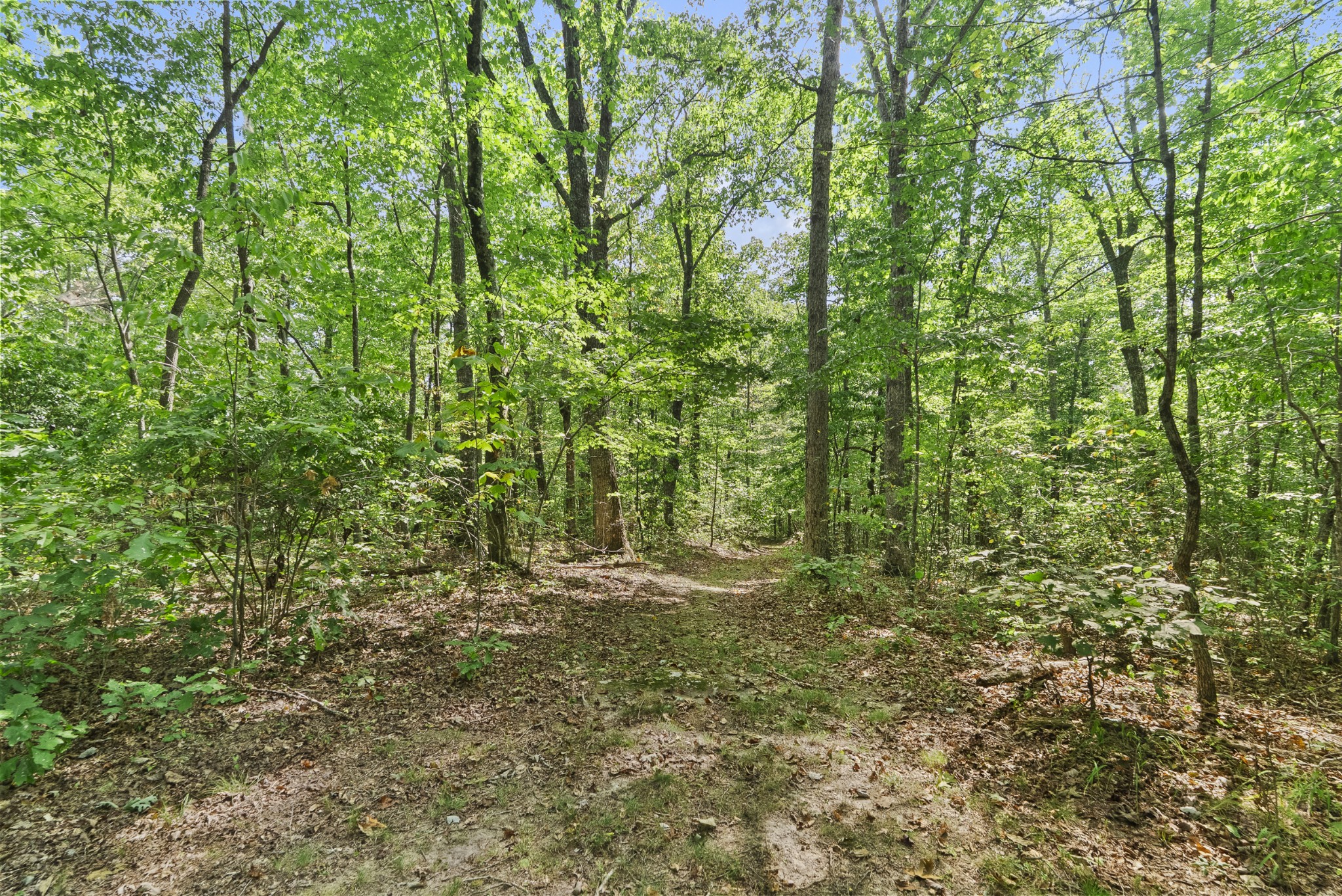 625 Meadows Ln