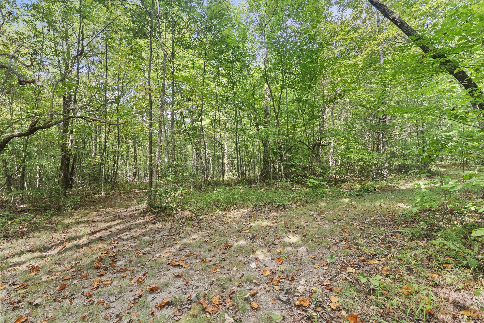 625 Meadows Ln
