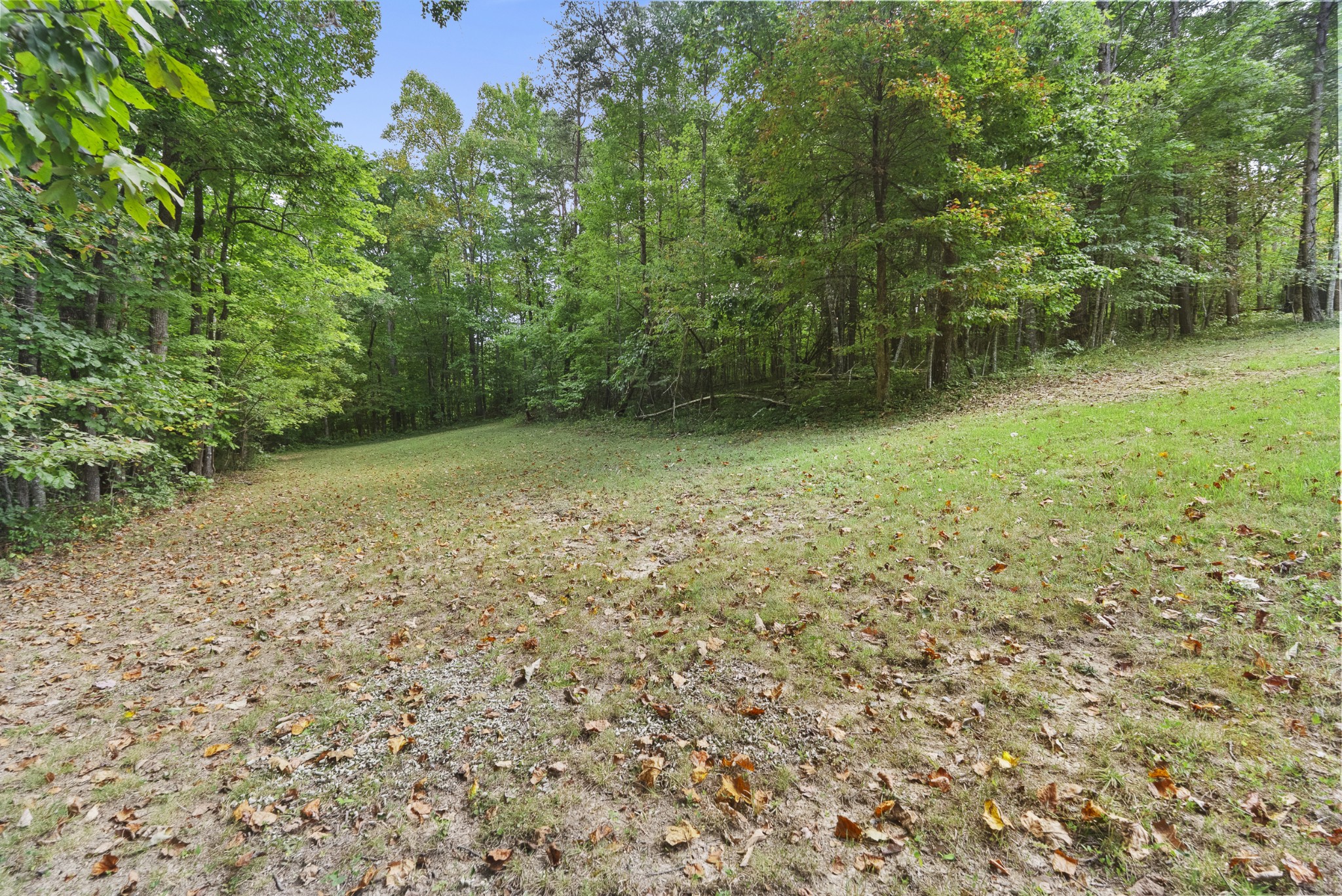 625 Meadows Ln