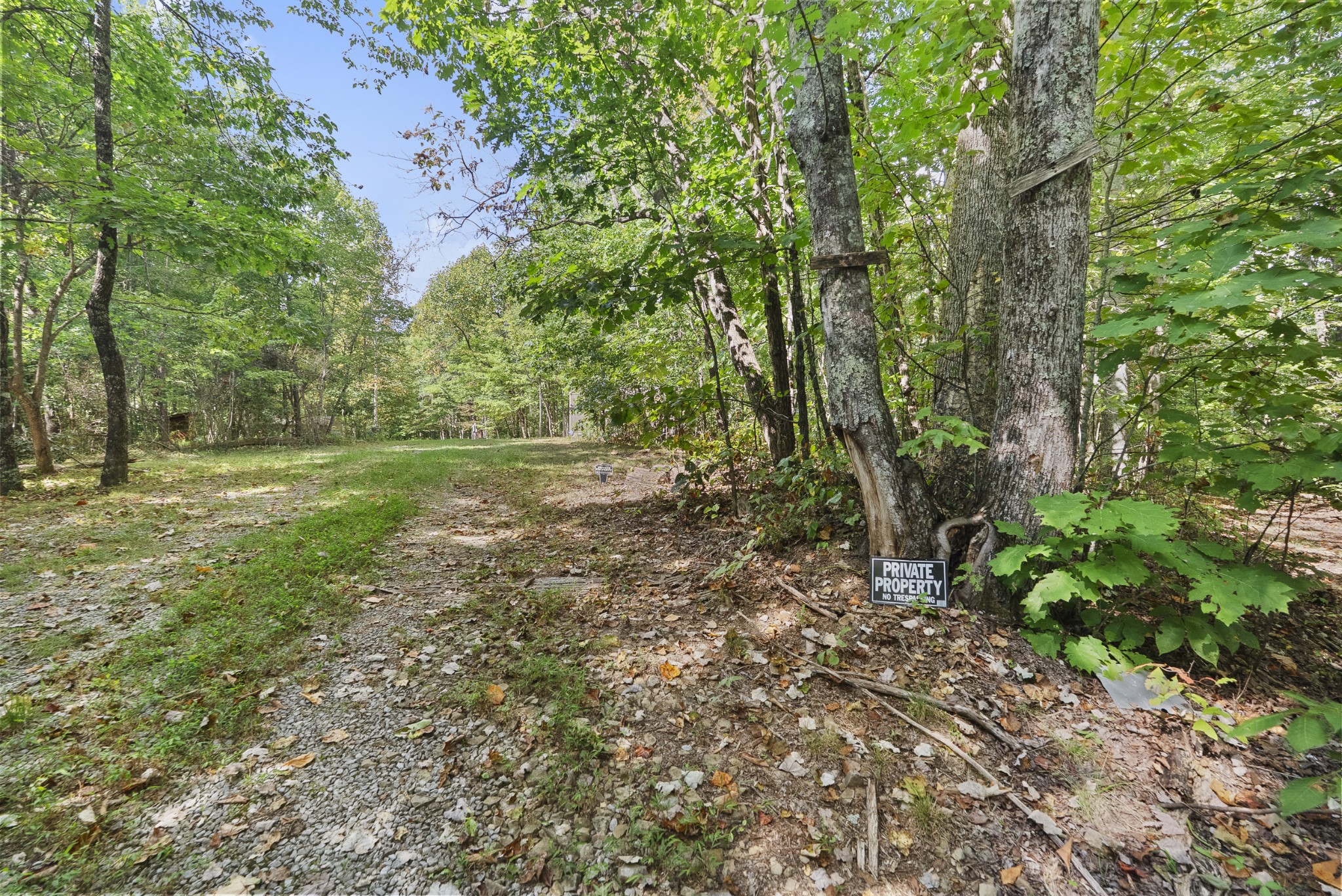 625 Meadows Ln