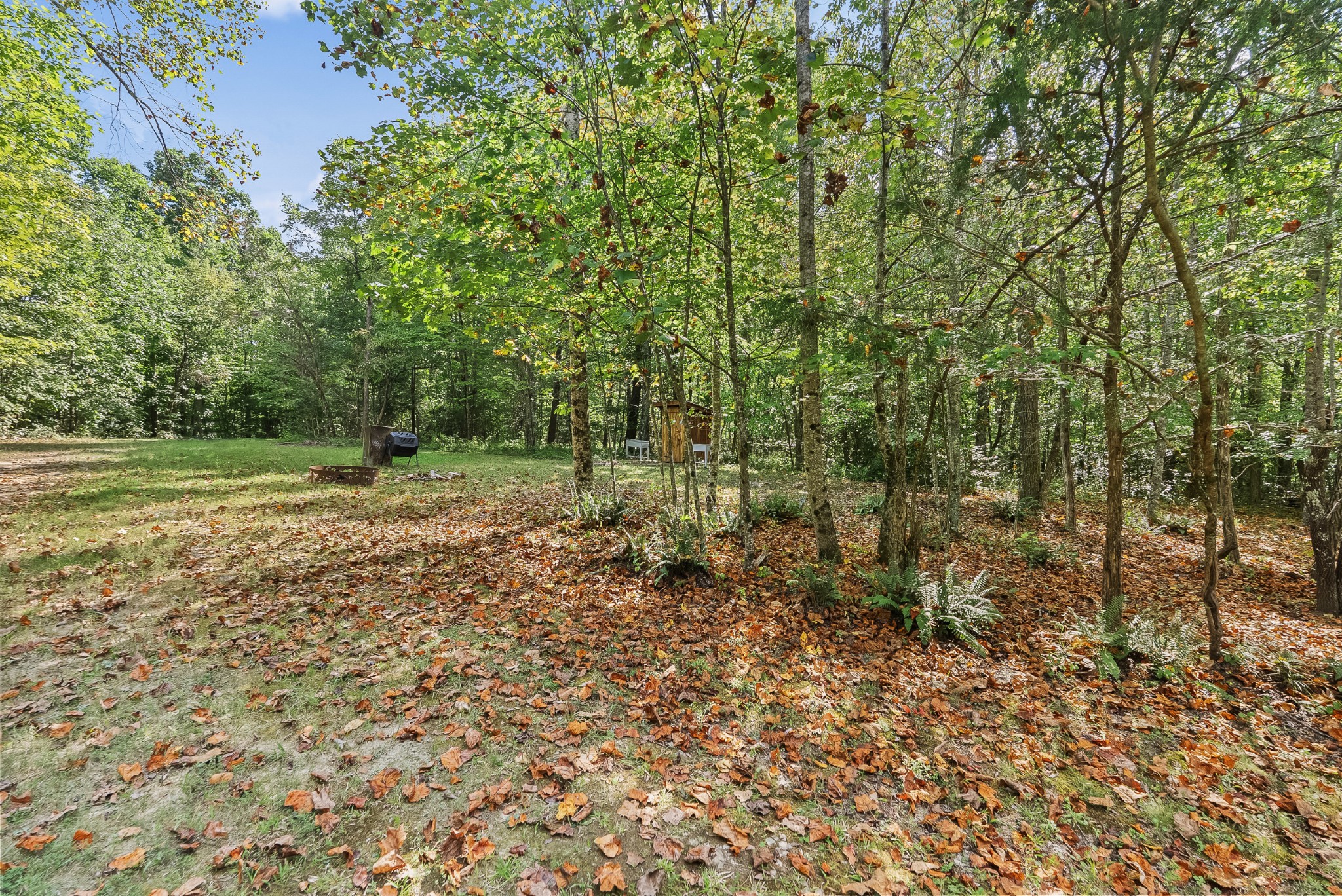 625 Meadows Ln
