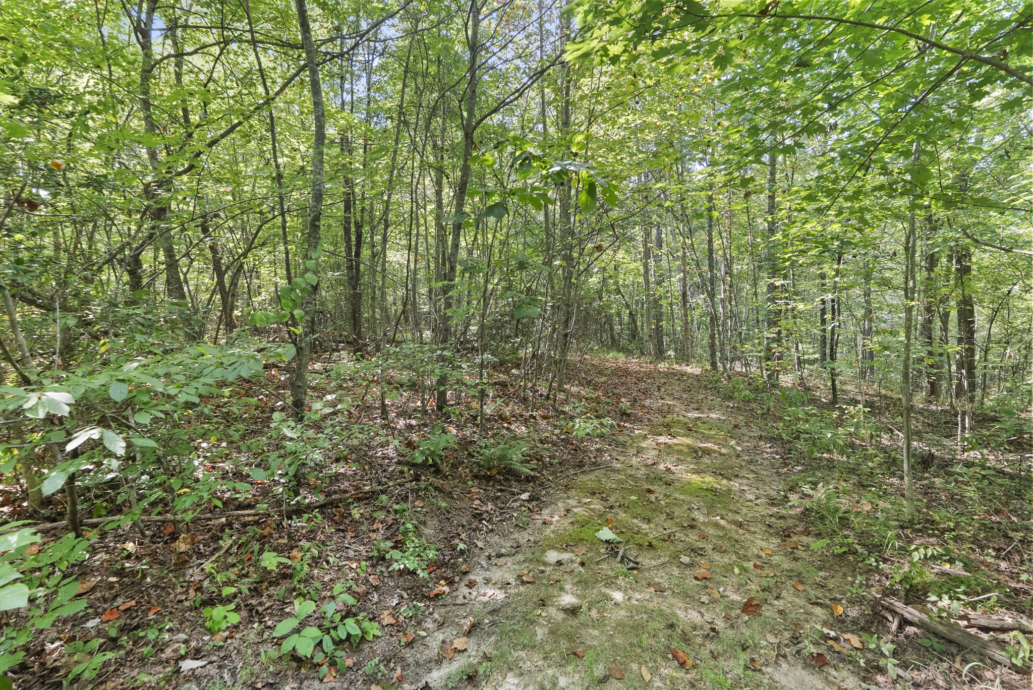 625 Meadows Ln