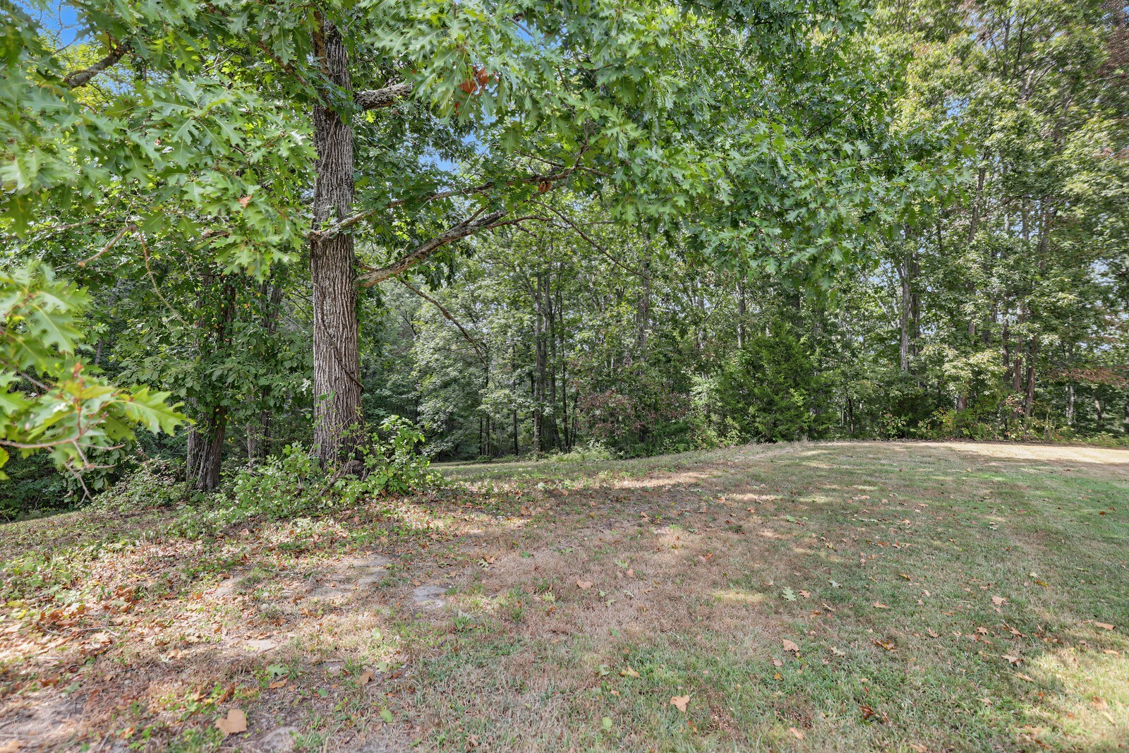 2909B Beech Log Rd