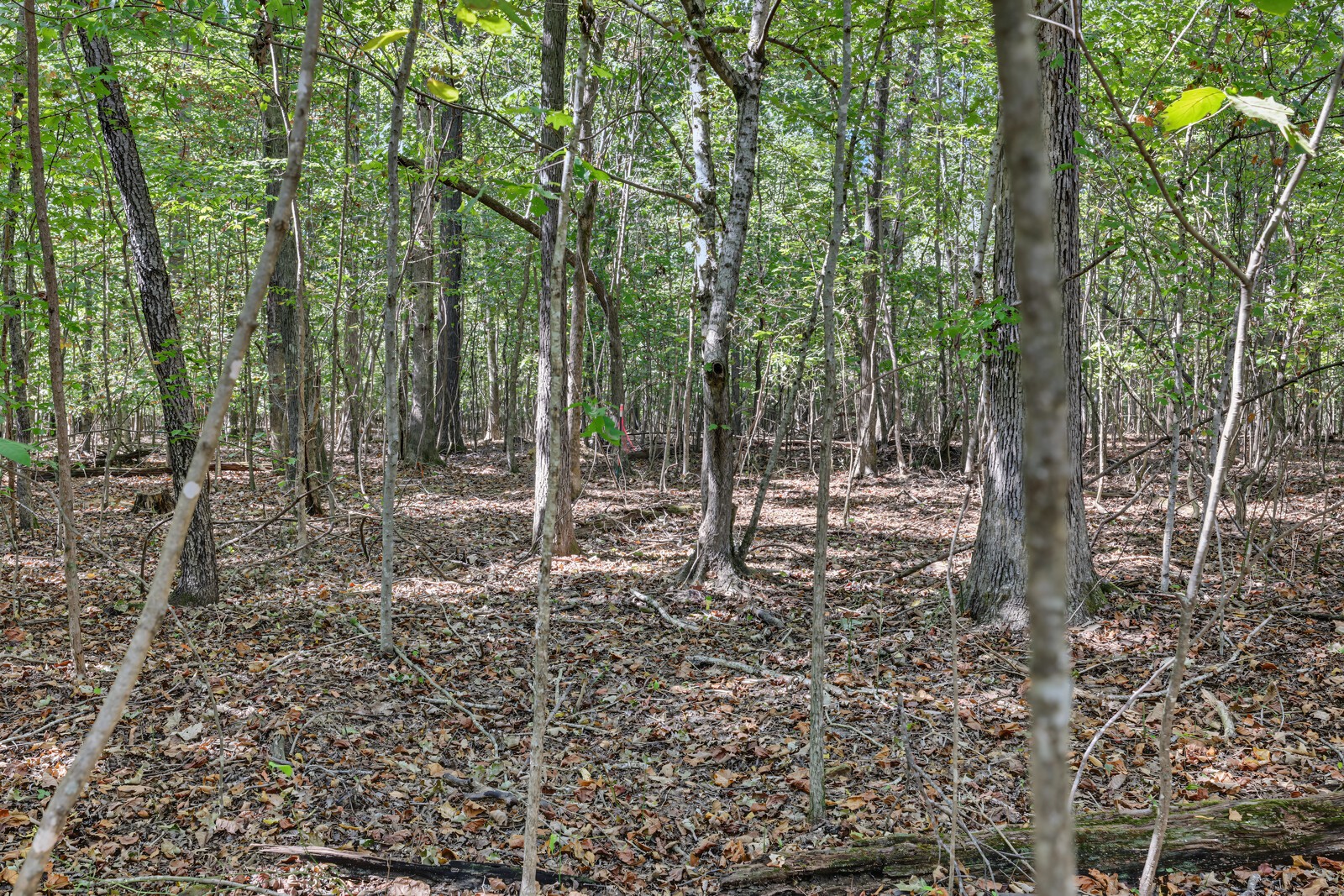 0 Teal Hollow Rd
