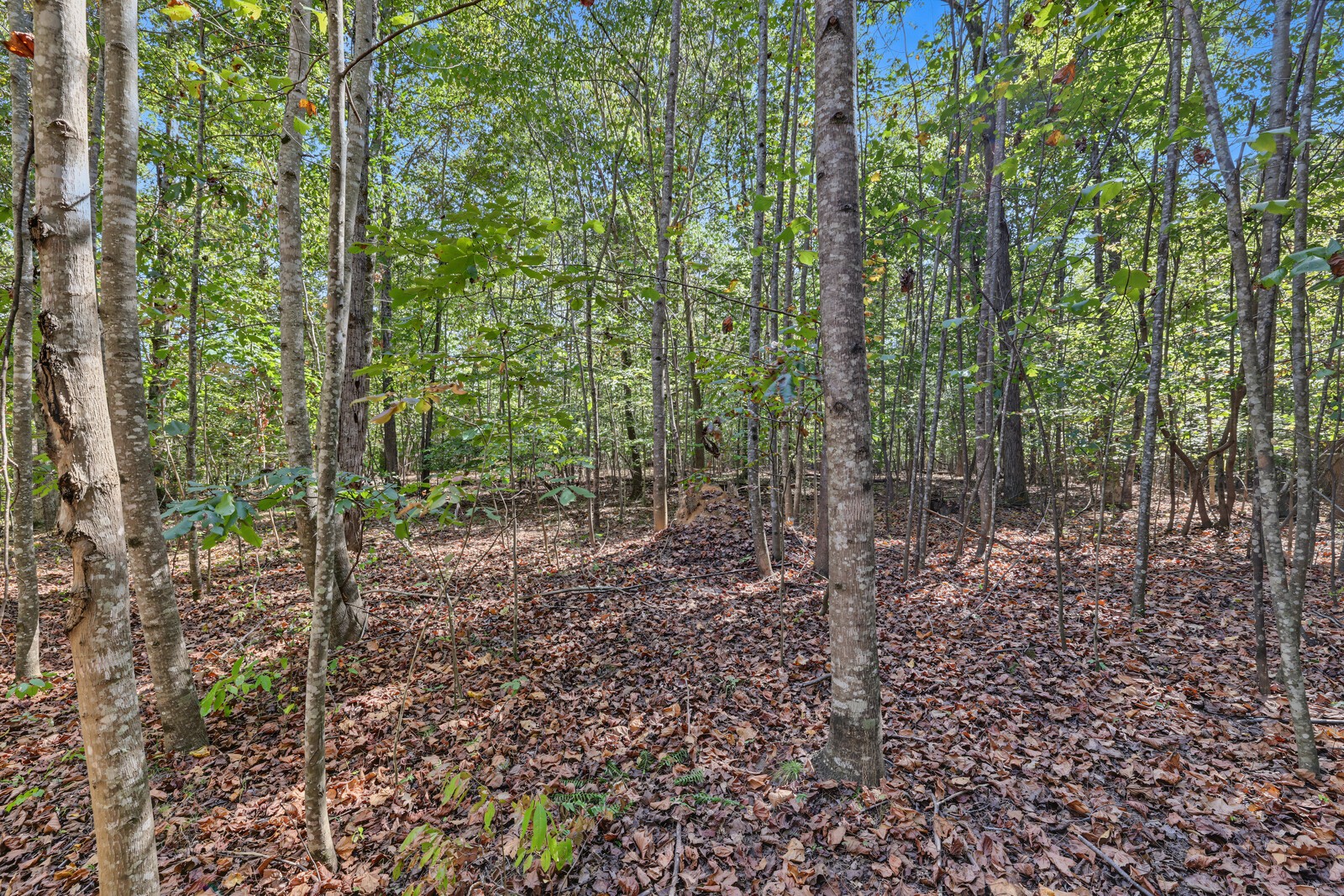 0 Teal Hollow Rd