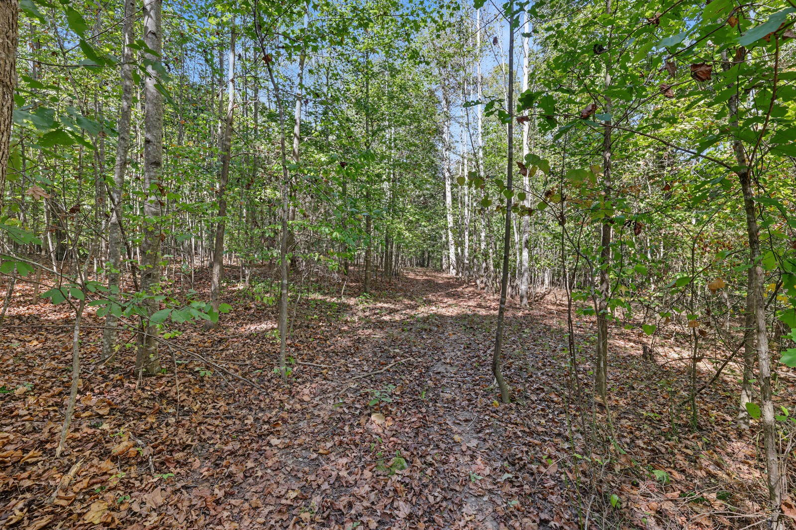 0 Teal Hollow Rd