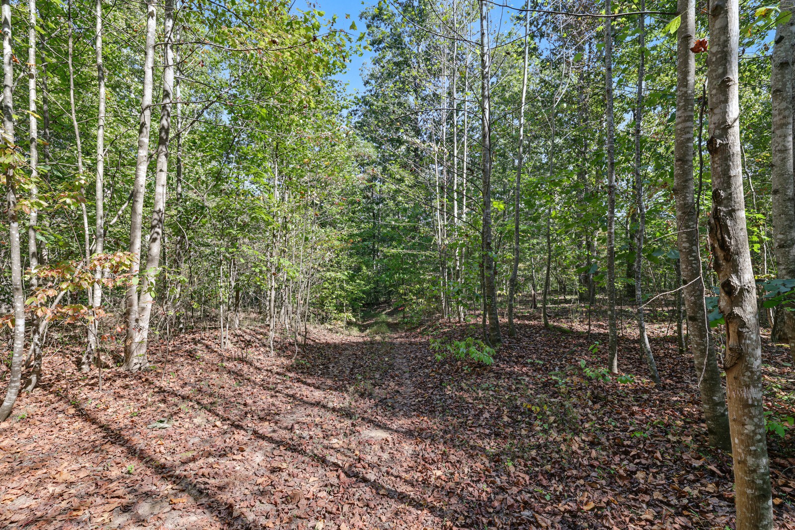 0 Teal Hollow Rd