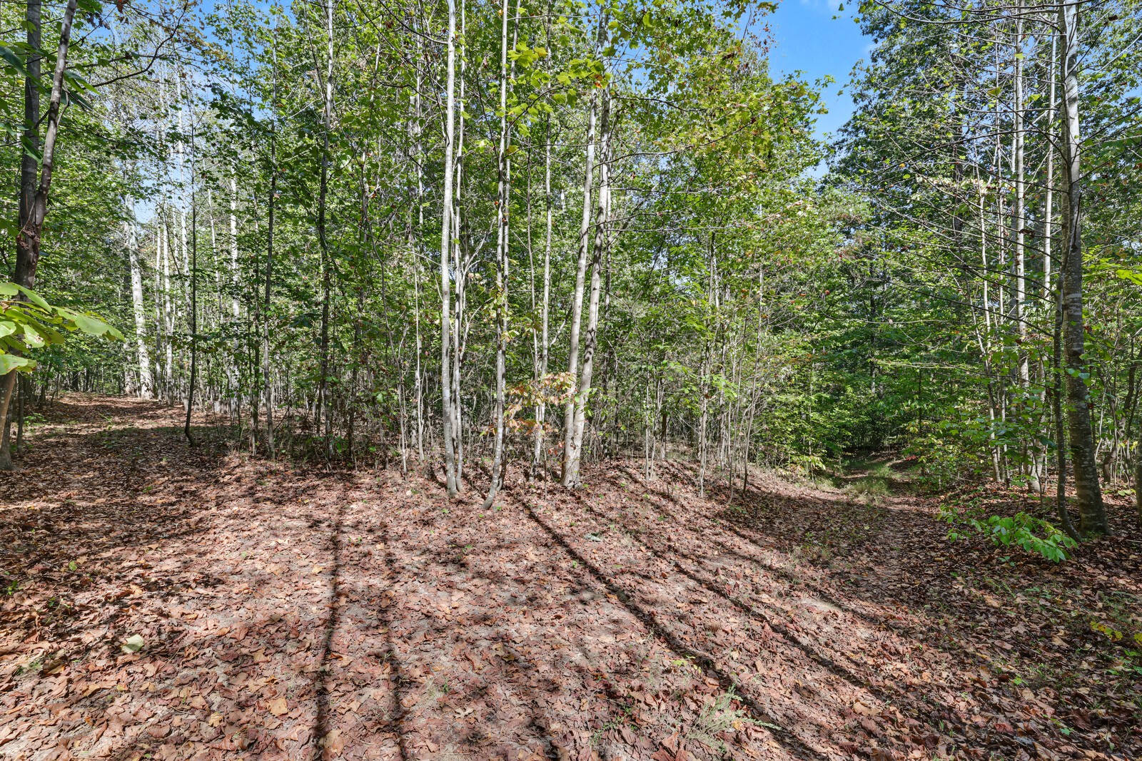 0 Teal Hollow Rd