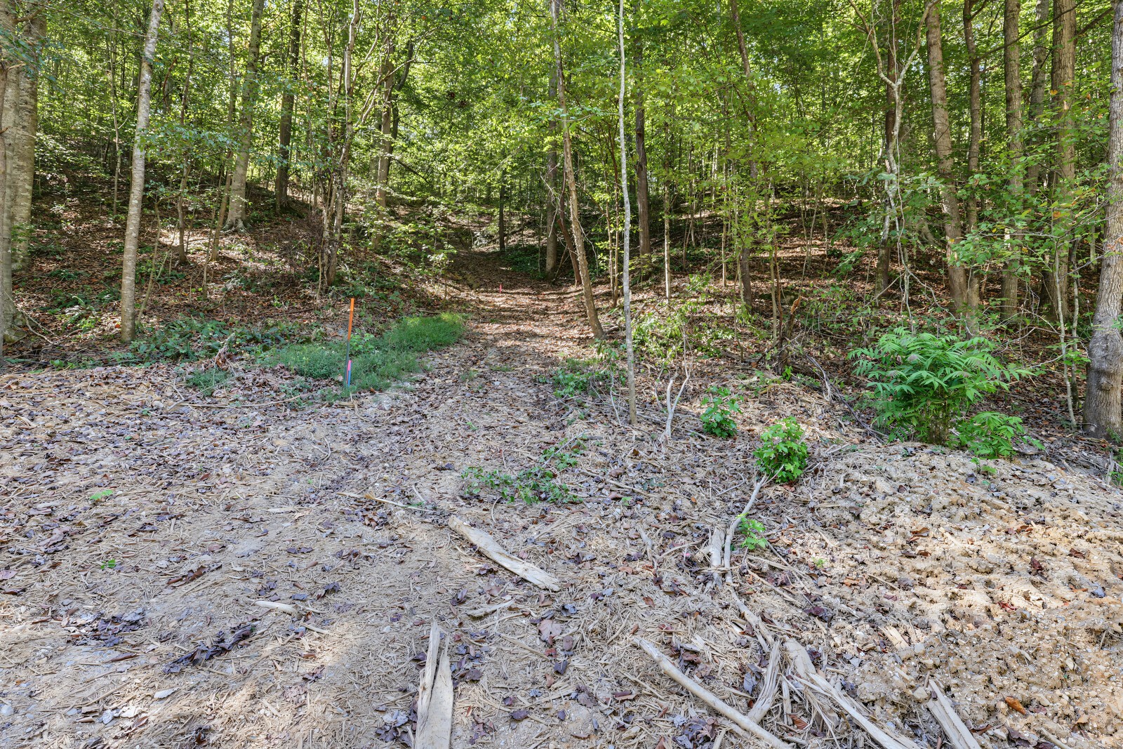 0 Teal Hollow Rd