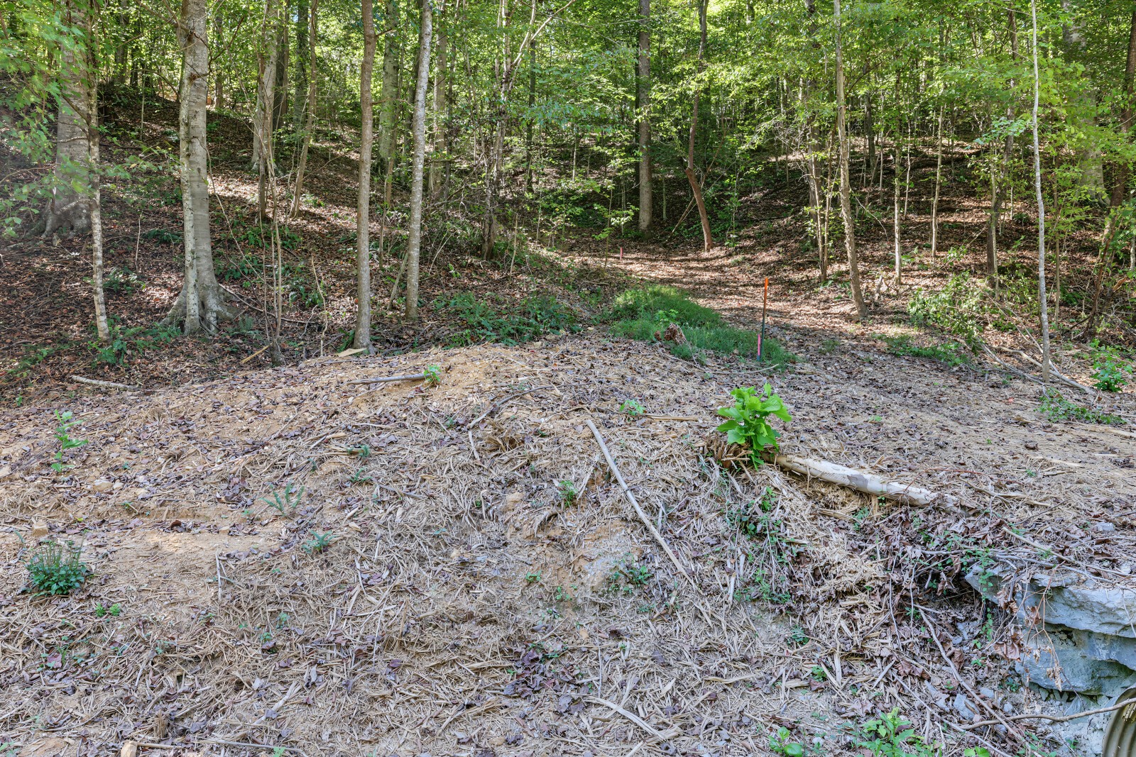 0 Teal Hollow Rd