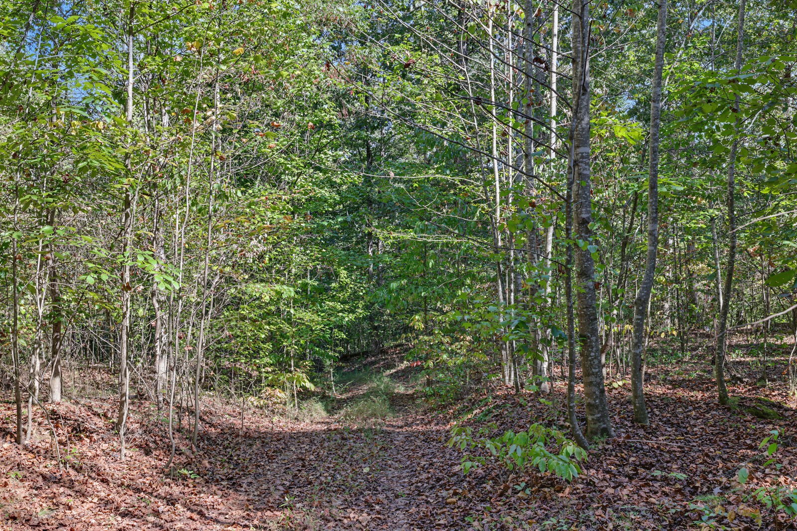 0 Teal Hollow Rd
