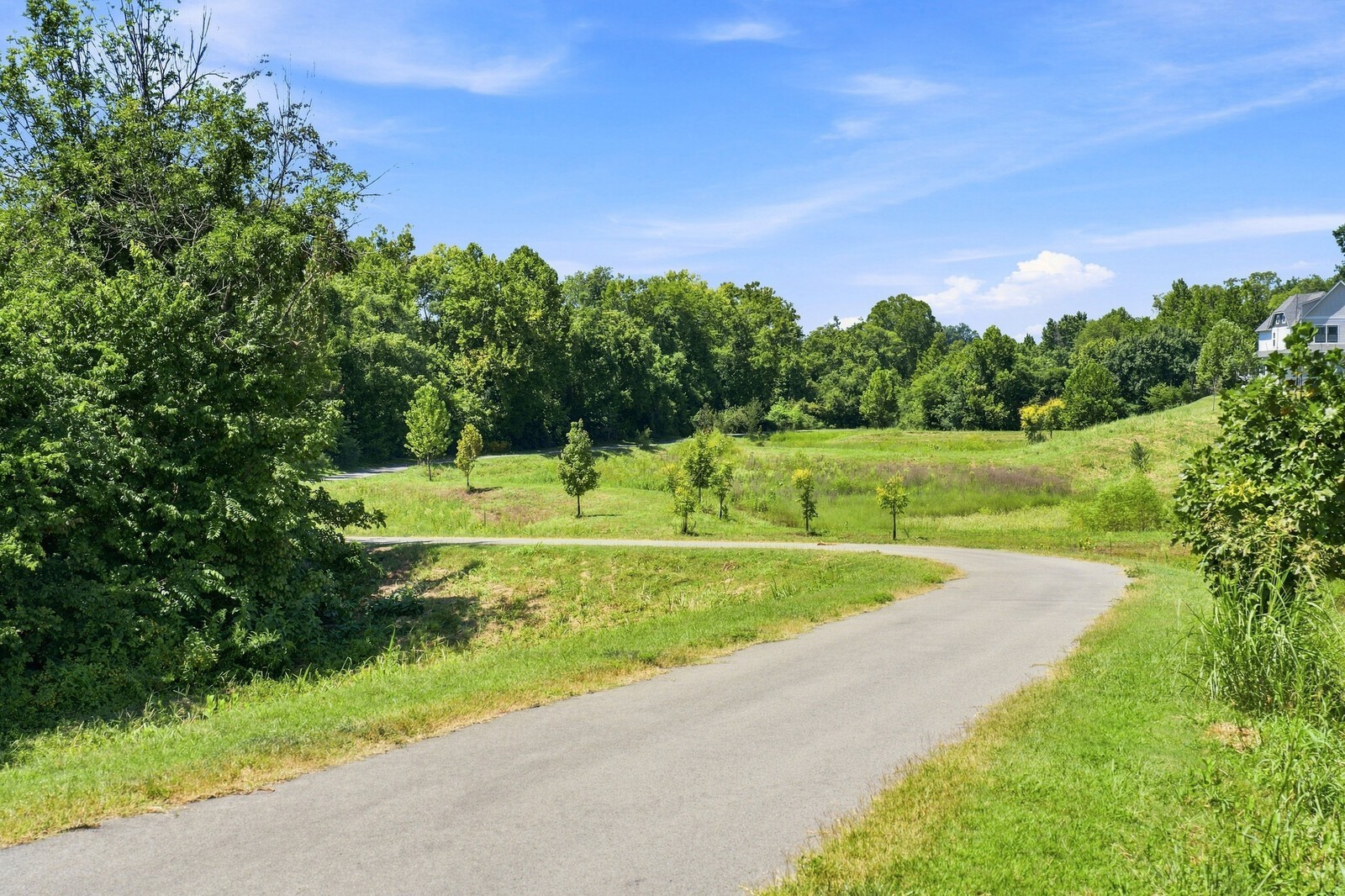 775 Mill Creek Meadow Dr