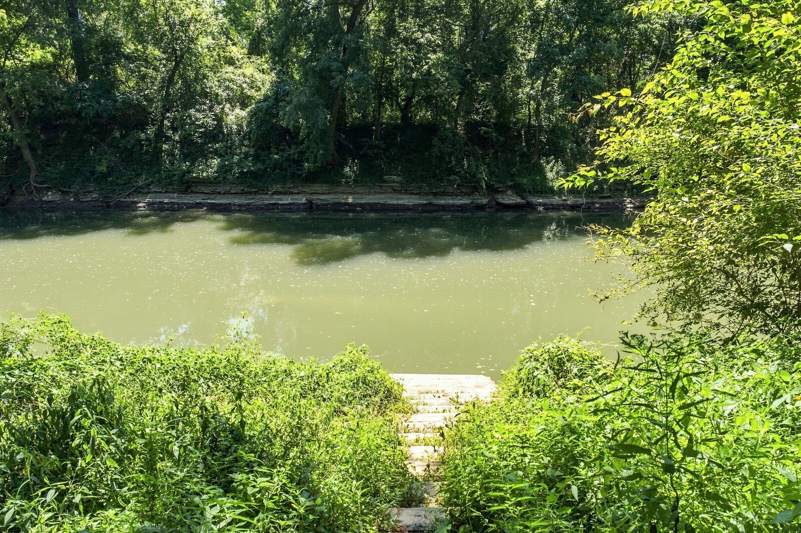 775 Mill Creek Meadow Dr