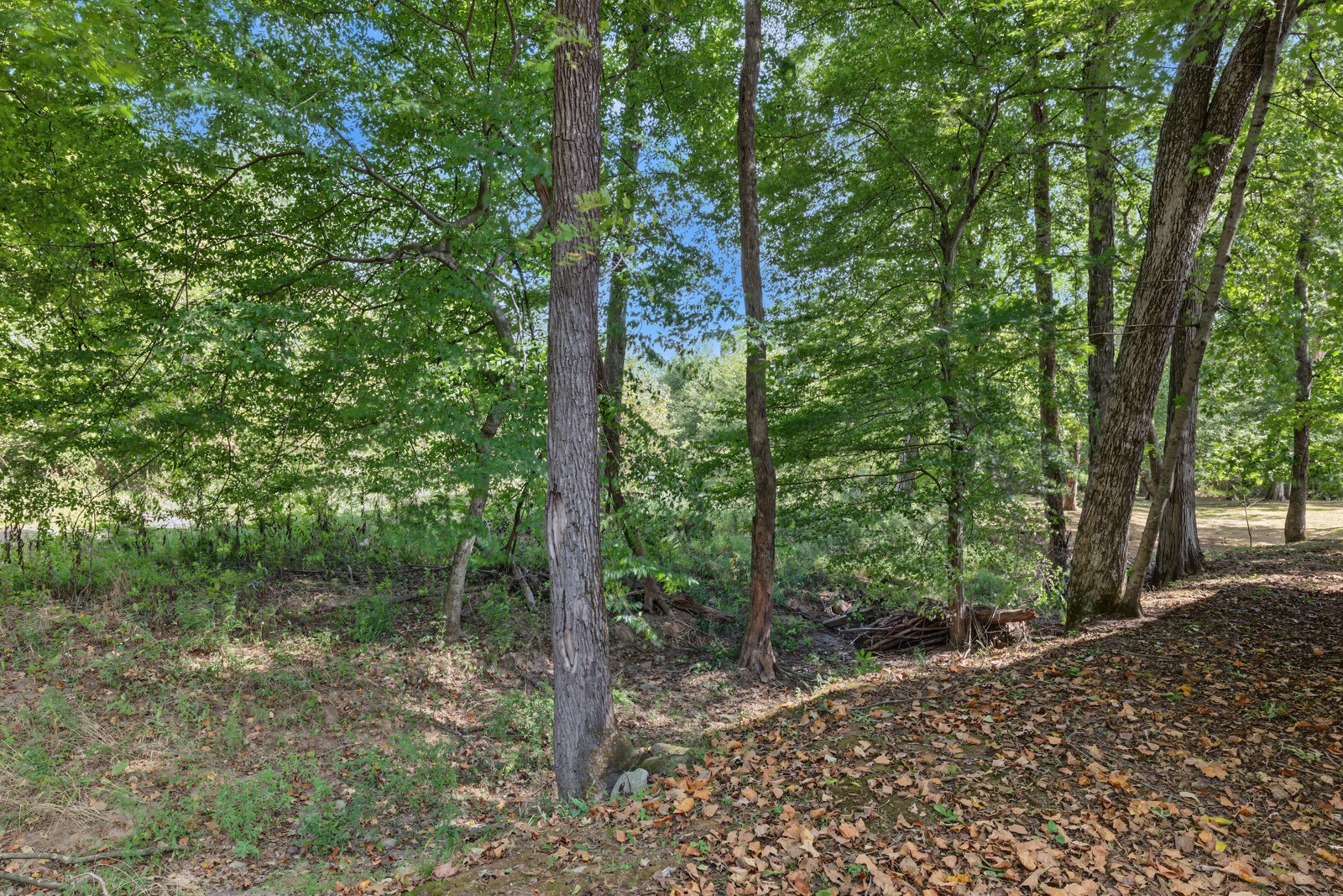 82 N Olivia Ln