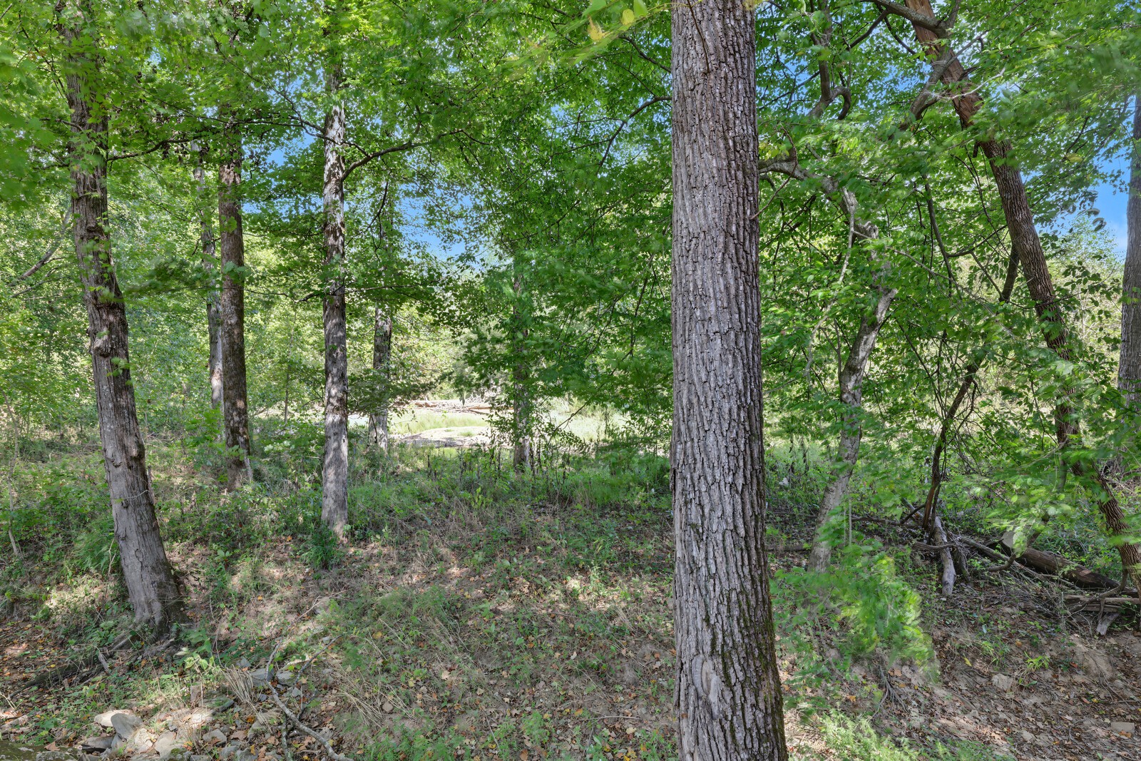82 N Olivia Ln