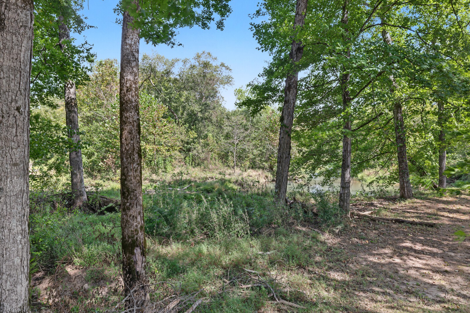 82 N Olivia Ln