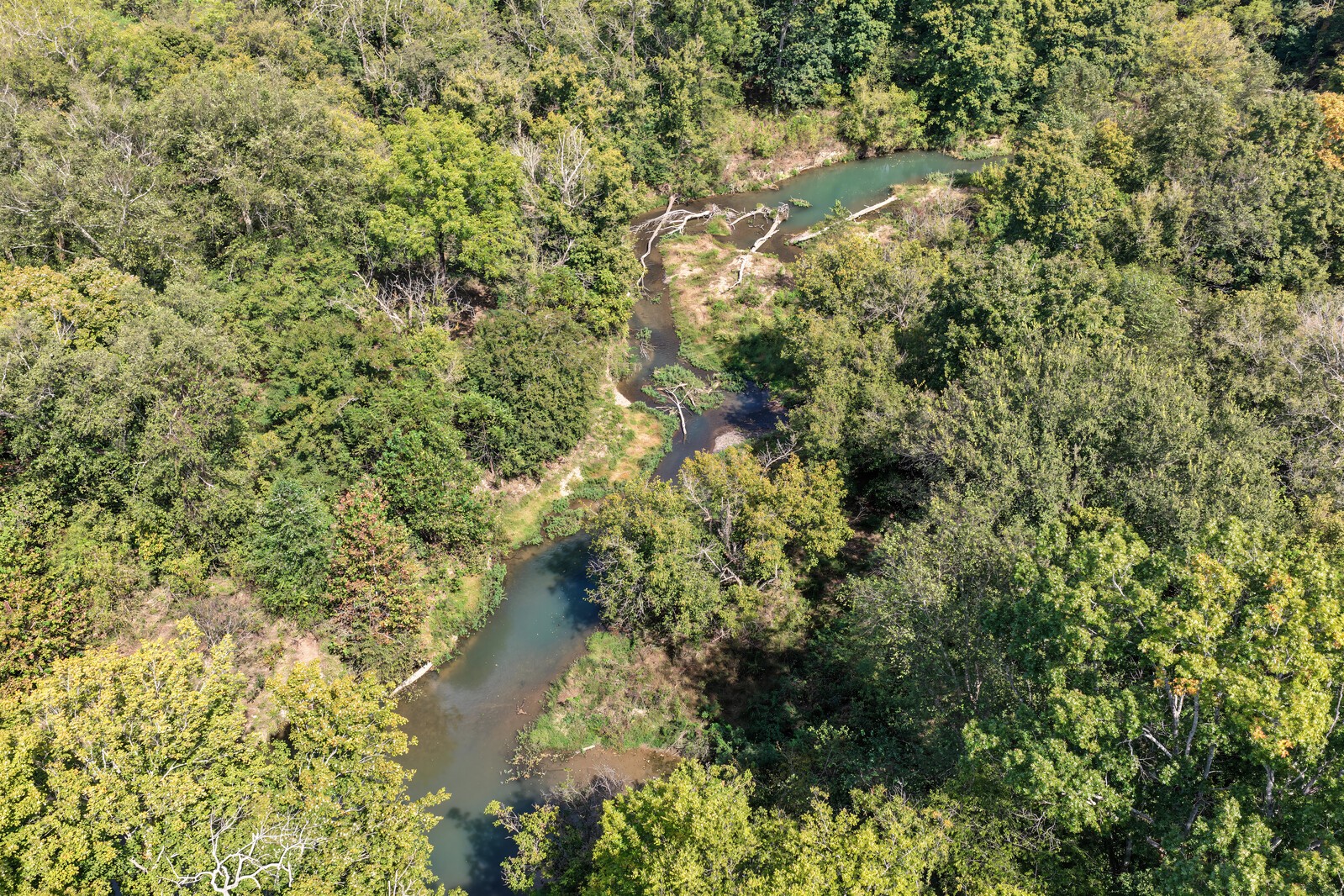 82 N Olivia Ln