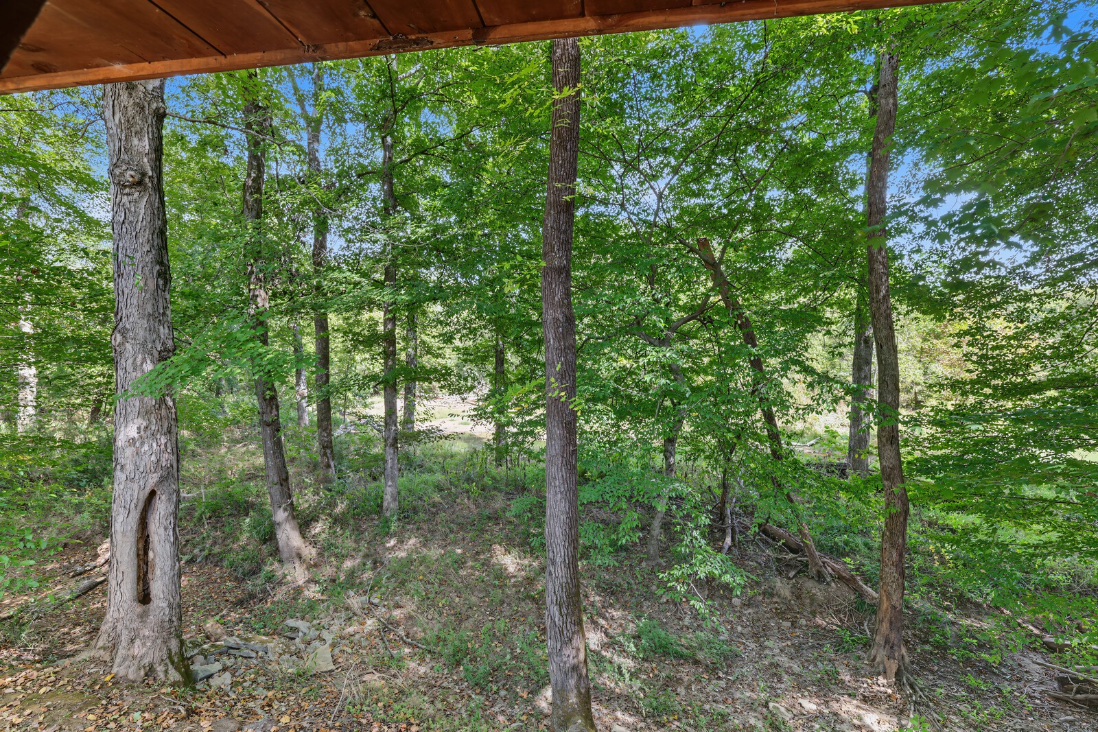 82 N Olivia Ln