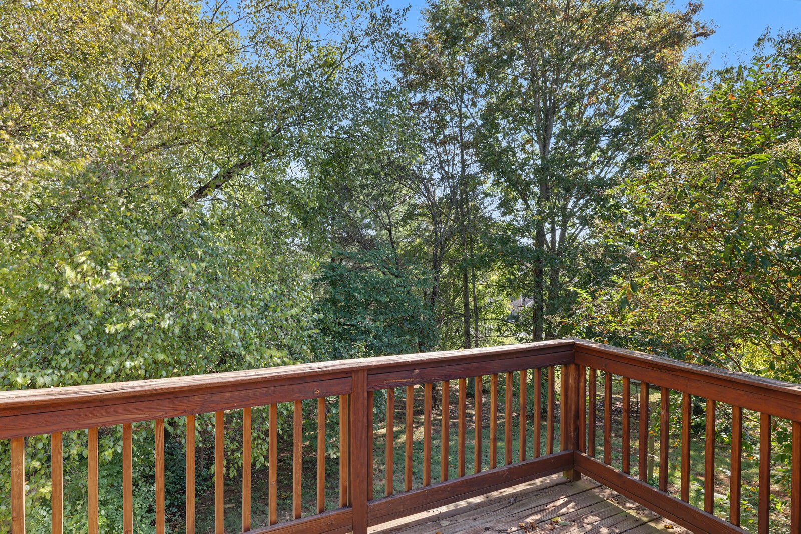 2309 Plunk Whitson Rd
