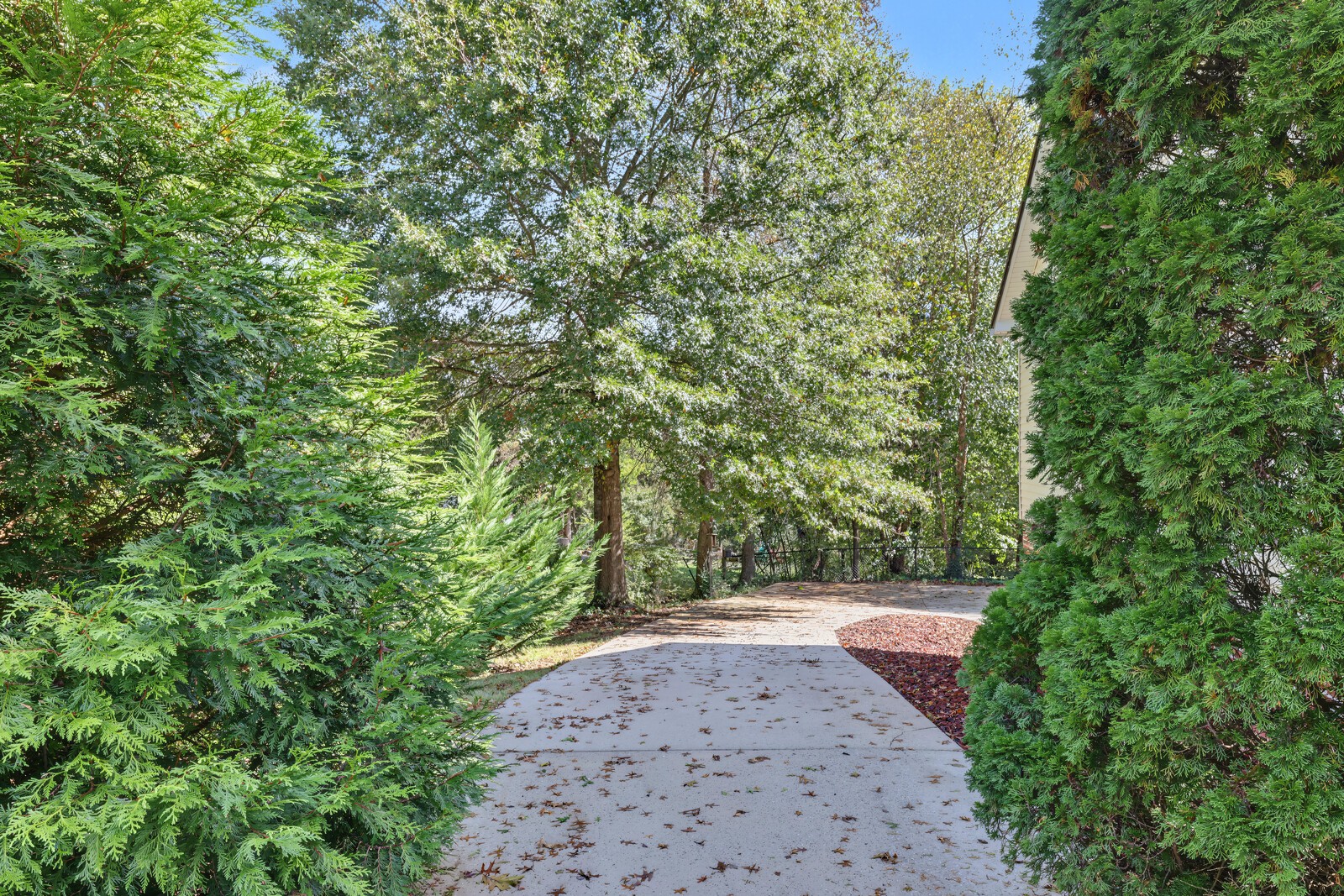 2309 Plunk Whitson Rd