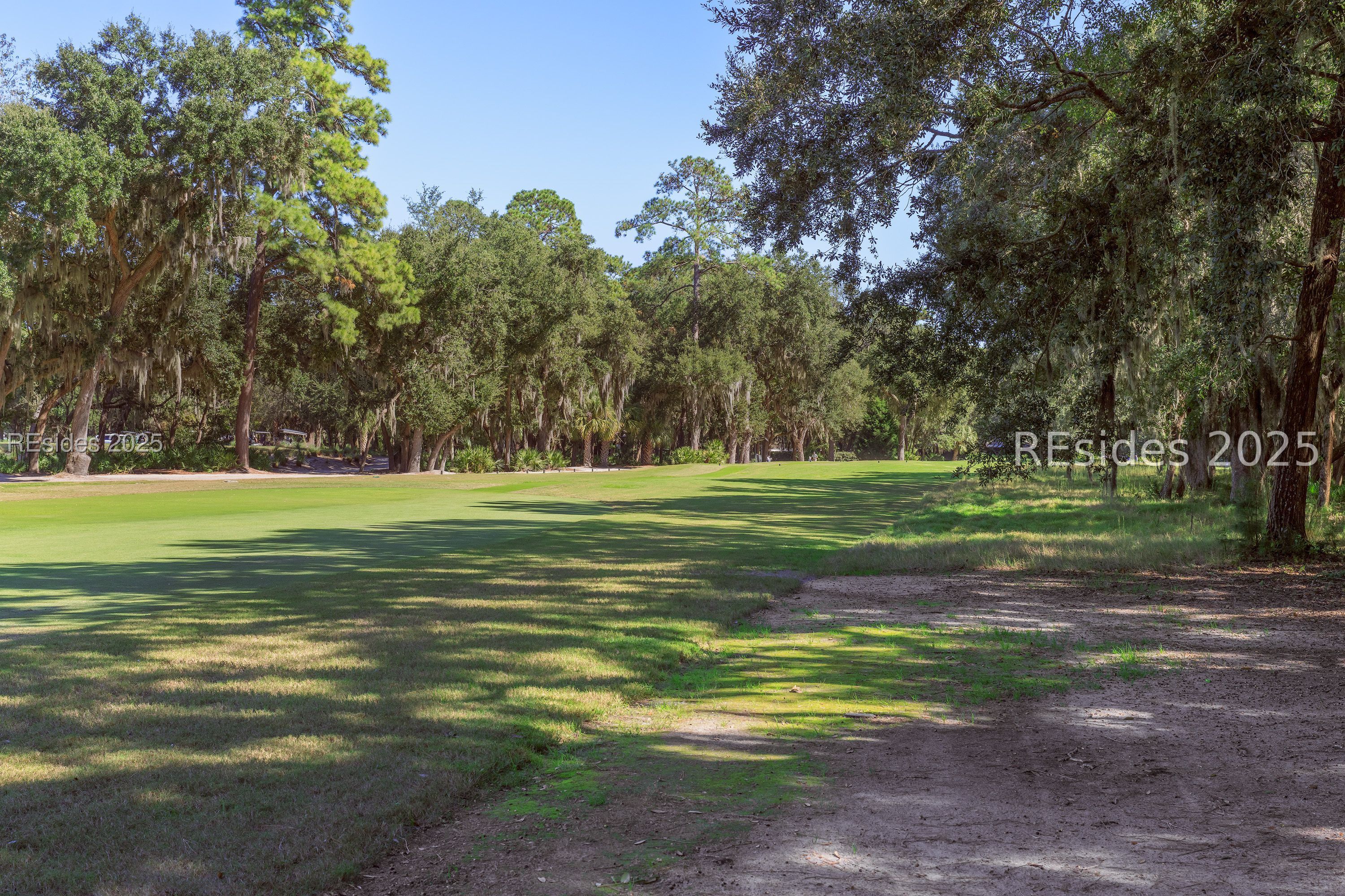 56 Blue Willow Street