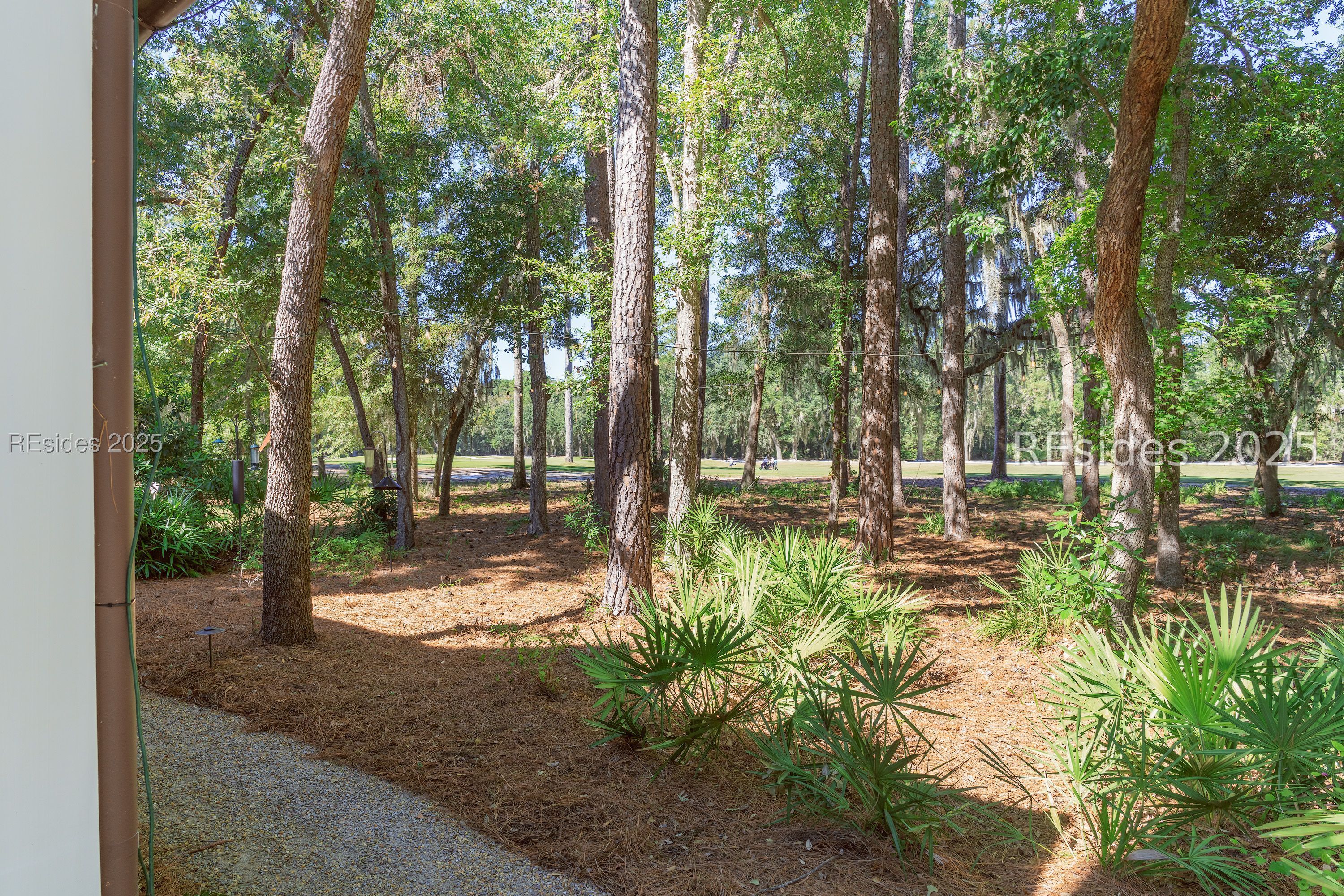 56 Blue Willow Street