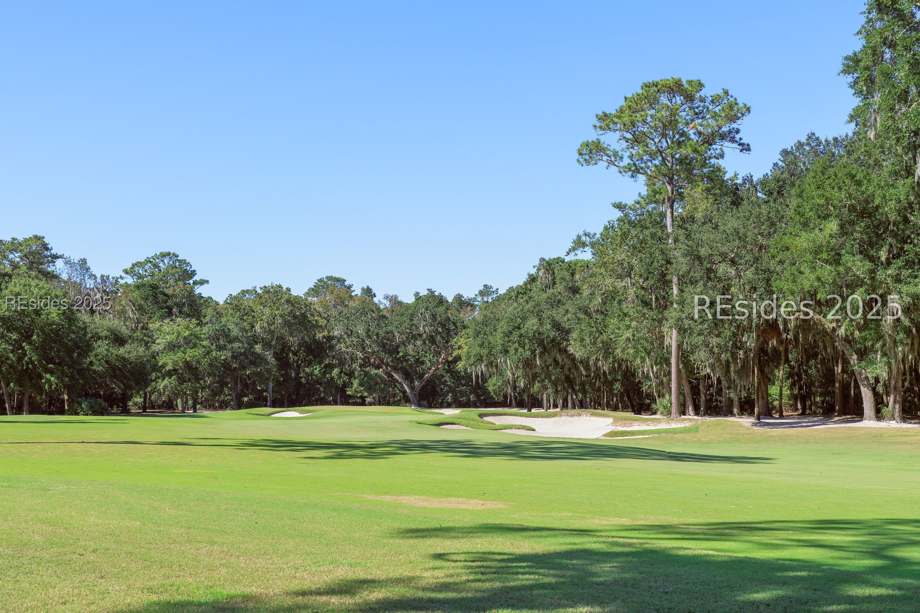 56 Blue Willow Street