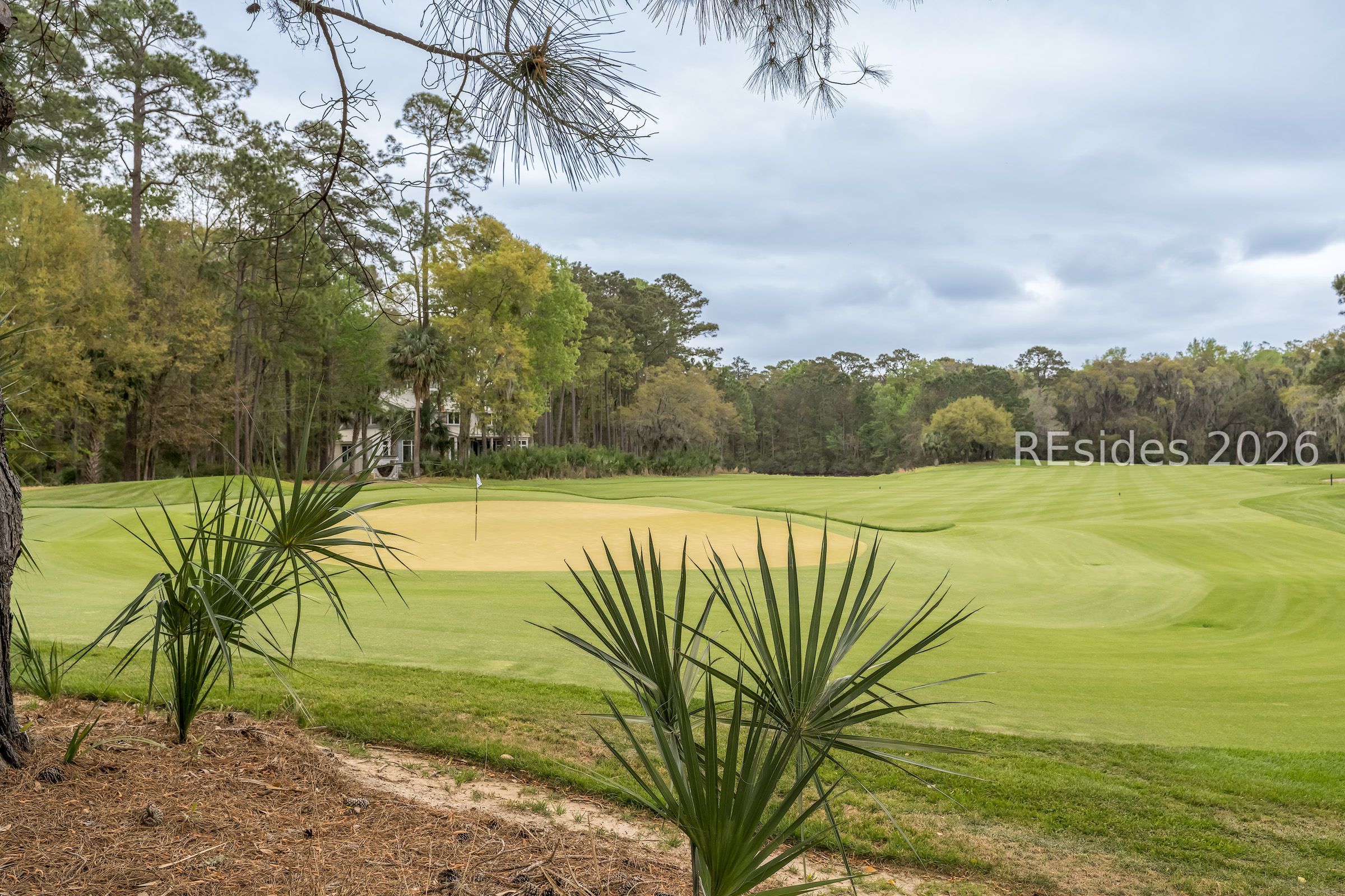 Golf course green and fairway bordered by woods, with palmetto plants and a house partly visible.