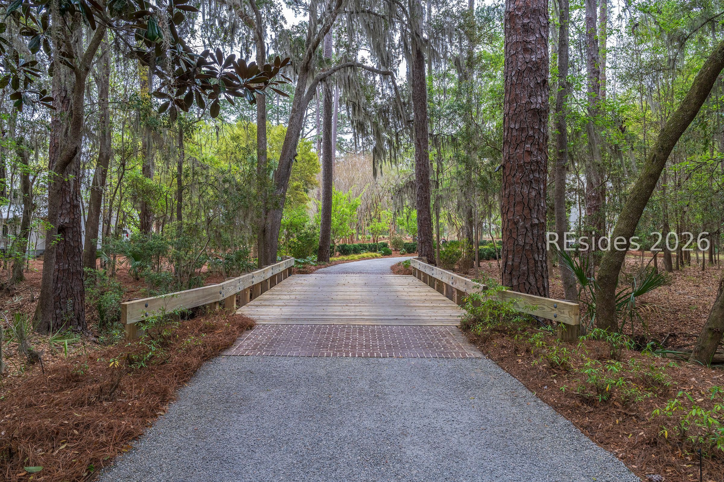 Gravel driveway crosses a wooden bridge beneath tall pines draped with Spanish moss.
