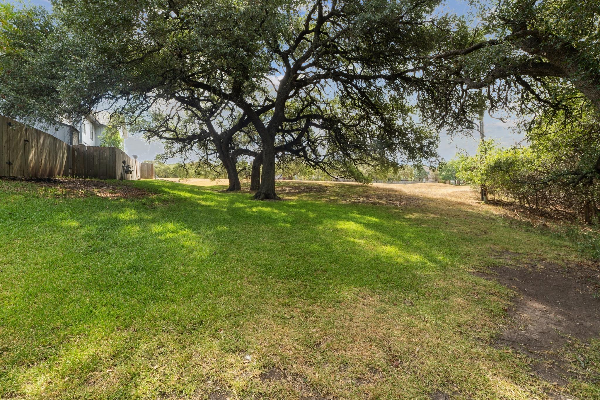 Grassy yard shaded by spreading oak trees, with a wooden fence along the left side.