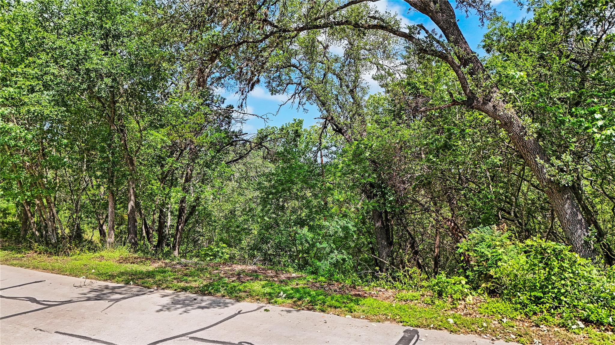 000000 River Oaks Drive DR