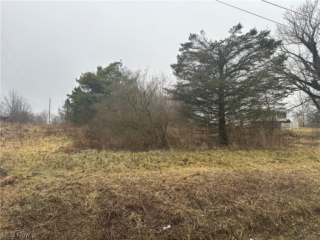 Palmer Road