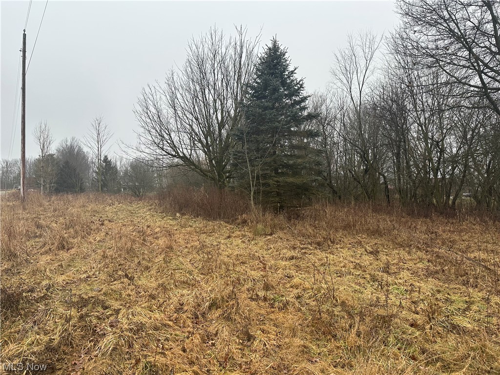Palmer Road